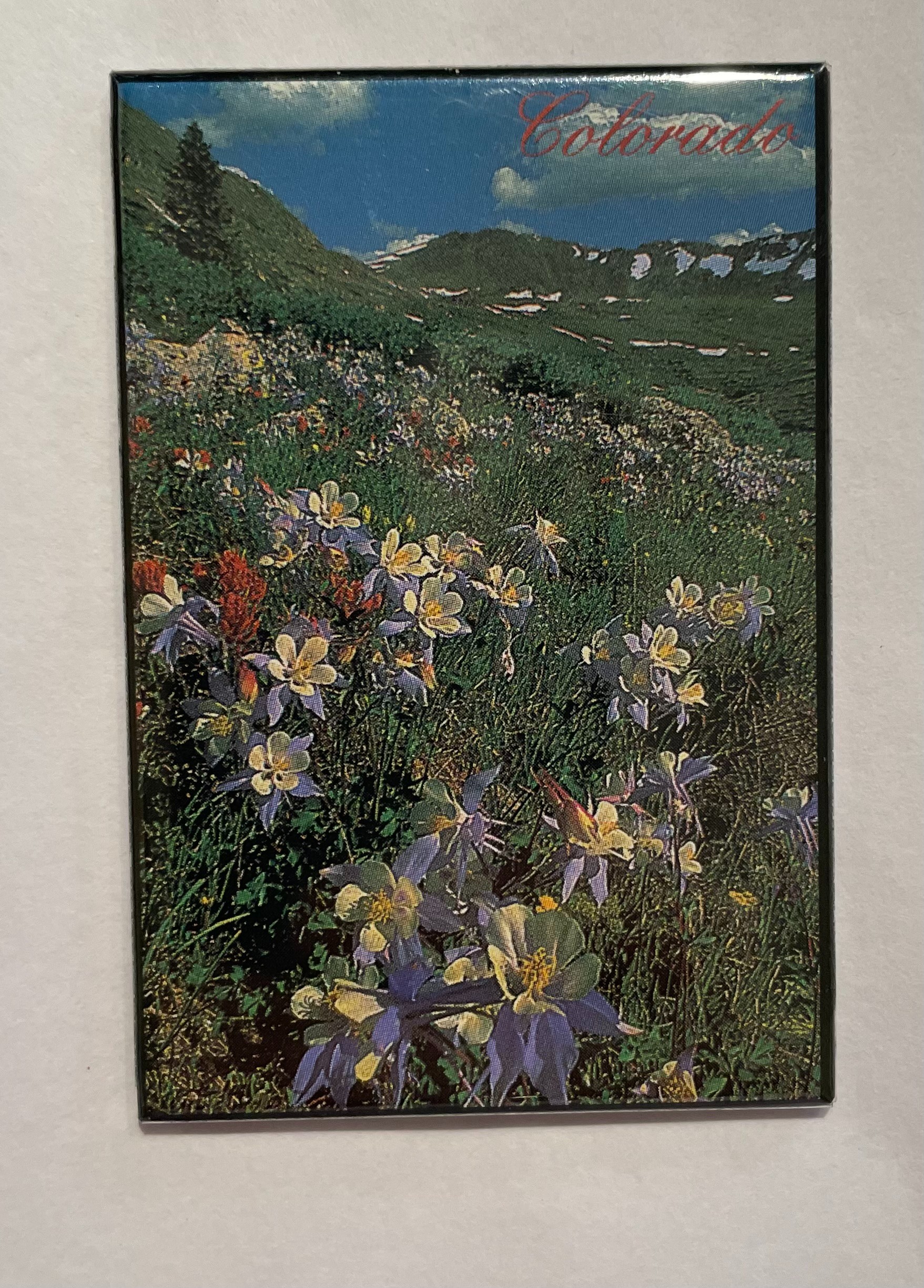 Colorado Wildflower Magnet