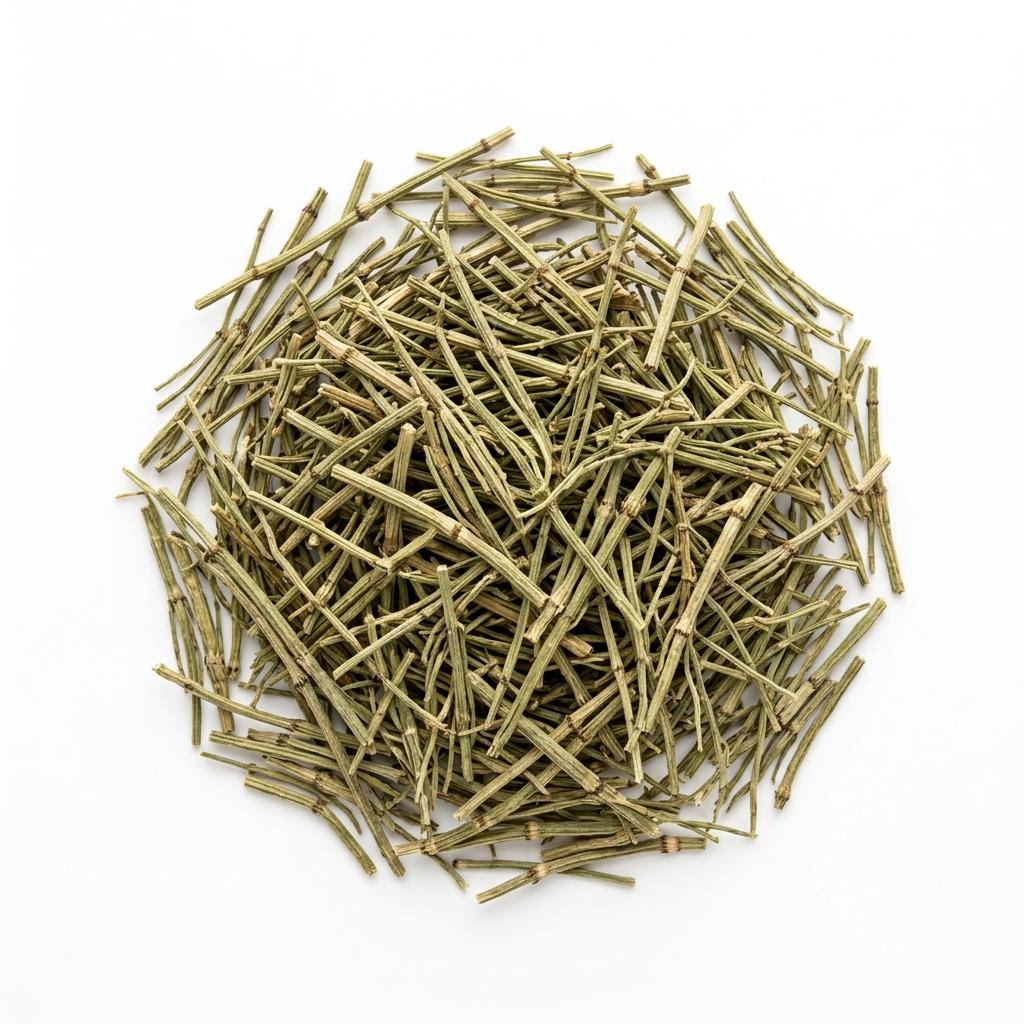 Horsetail