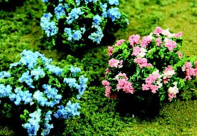 Hydrangea, 6/pk