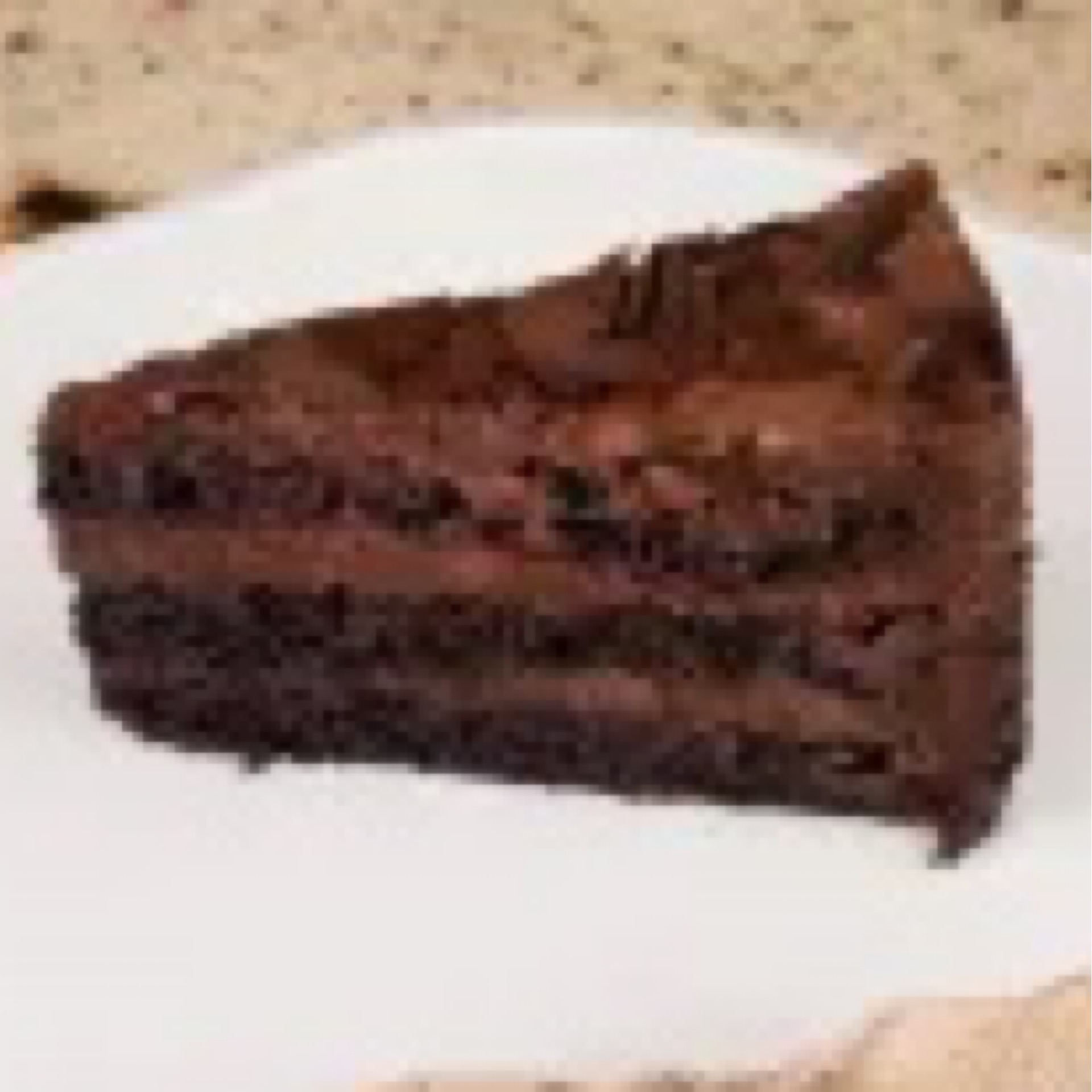 OUTRAGEOUS CHOCOLATE CAKE (slice)