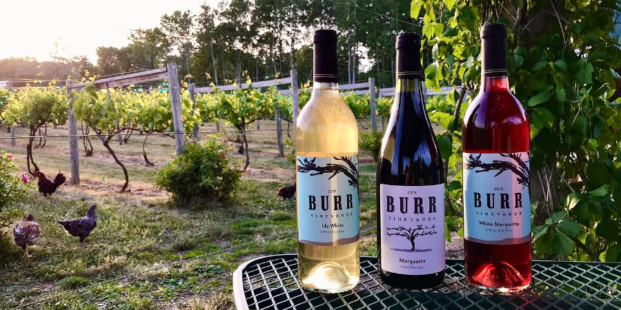 Wine Club - 3 bottle