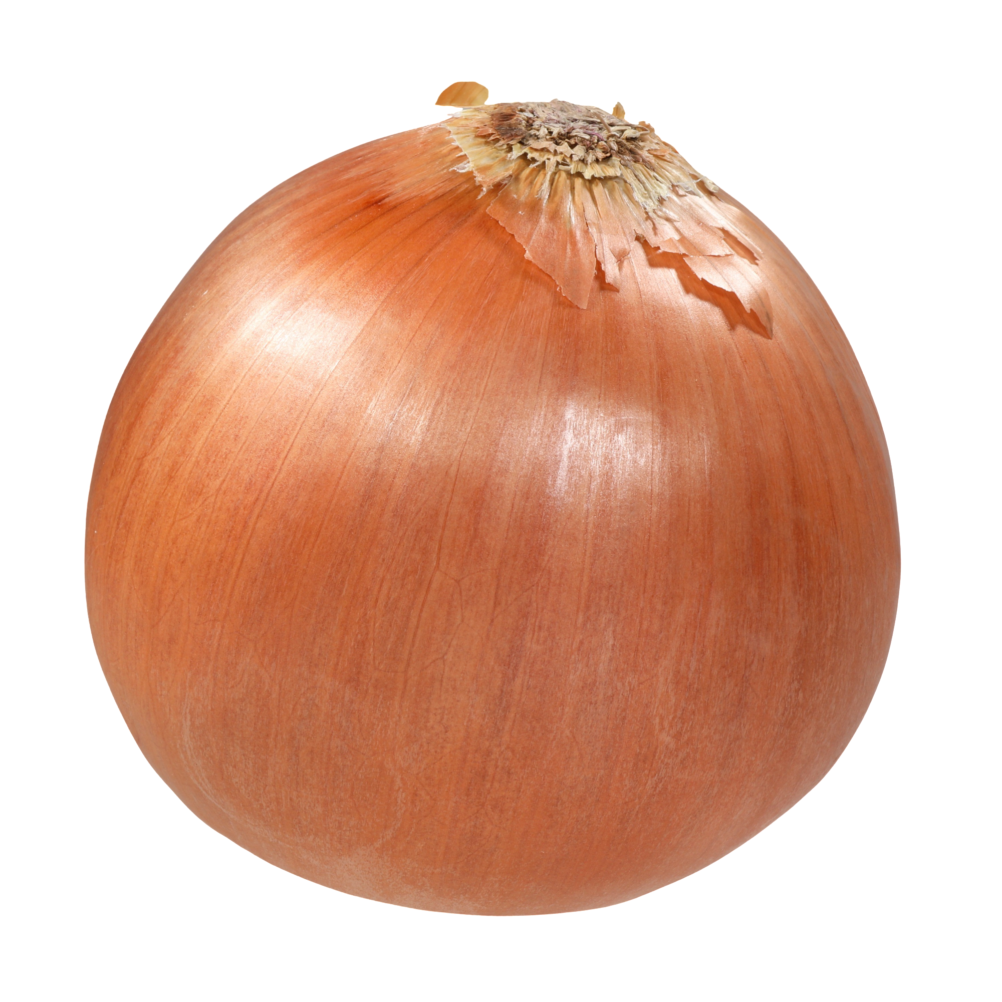 16. Yellow Onion