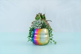 Iridescent Rainbow Pot, 6"