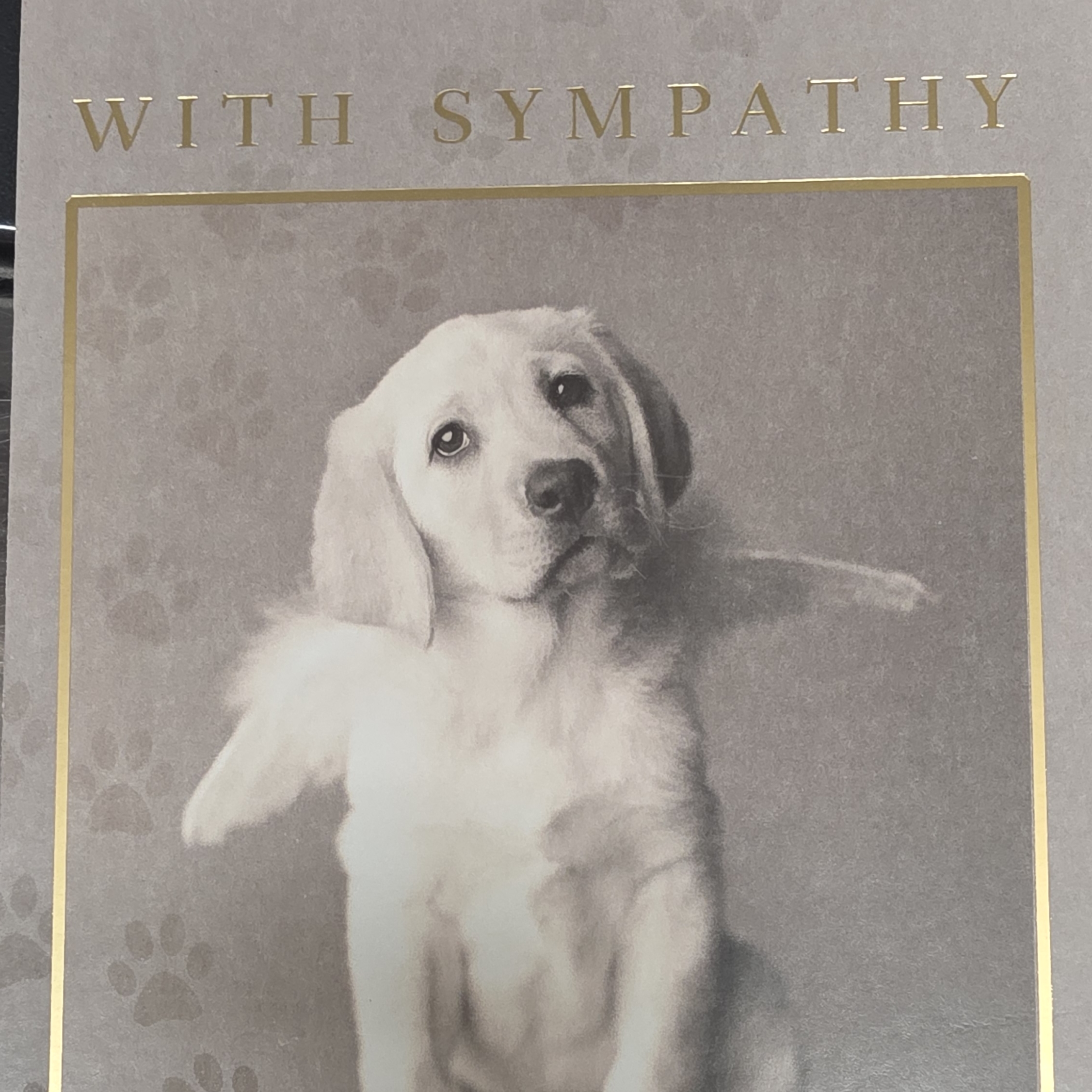 Pet Sympathy