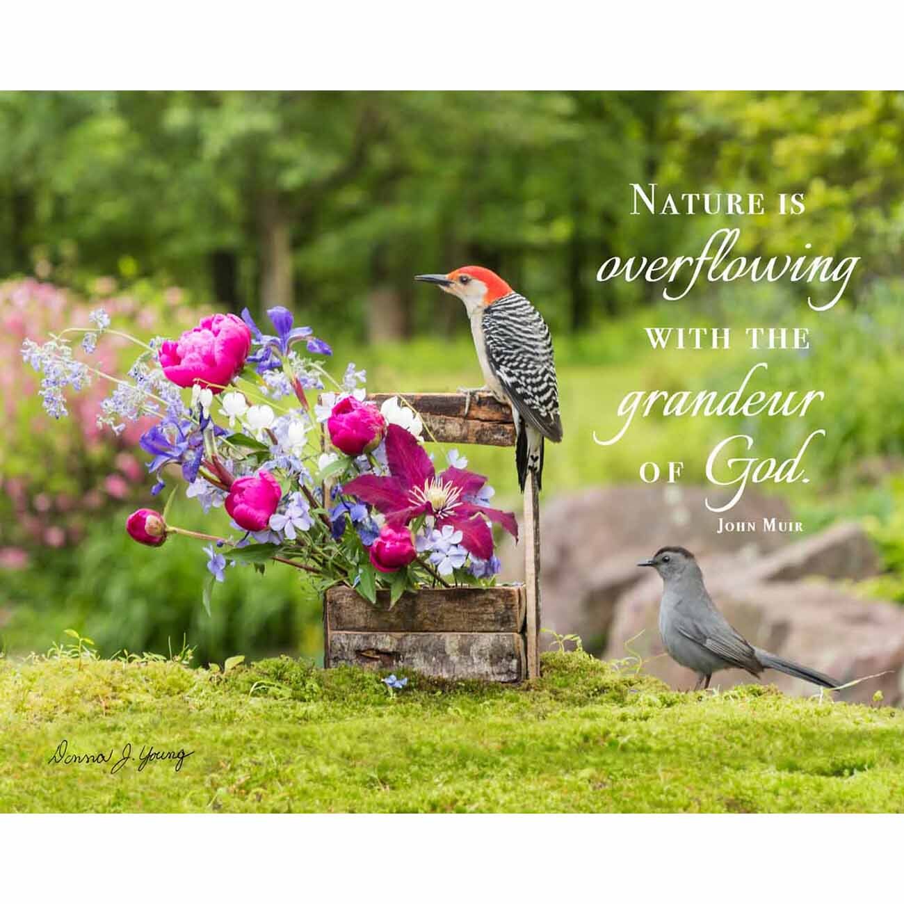Nature Is Overflowing