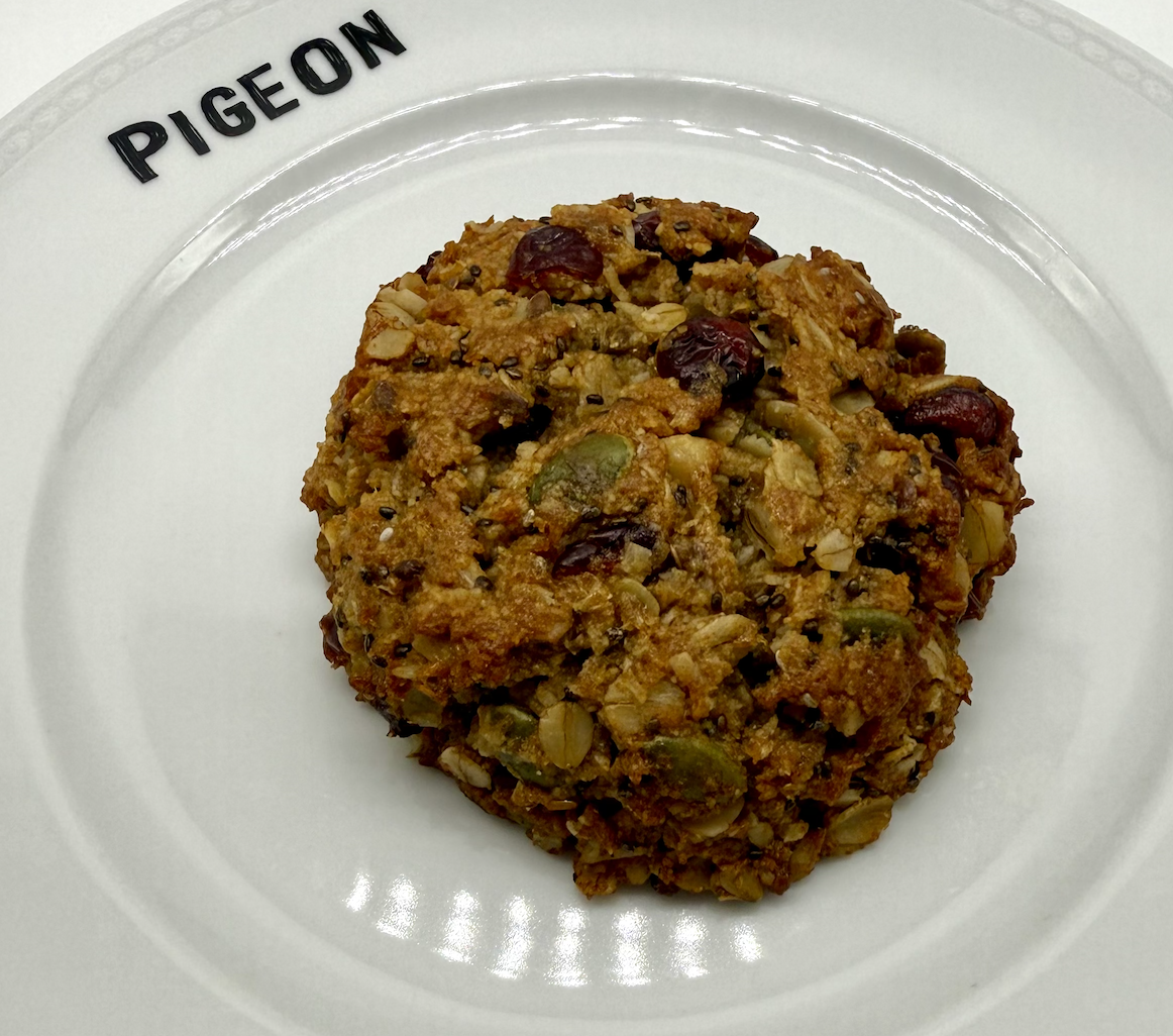 Breakfast Cookie