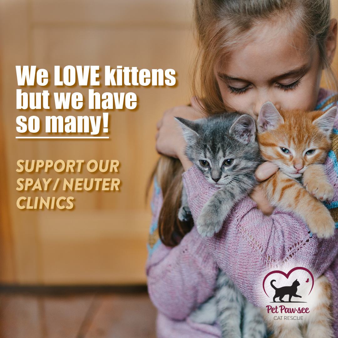 Spay it Forward! Support our clinics.