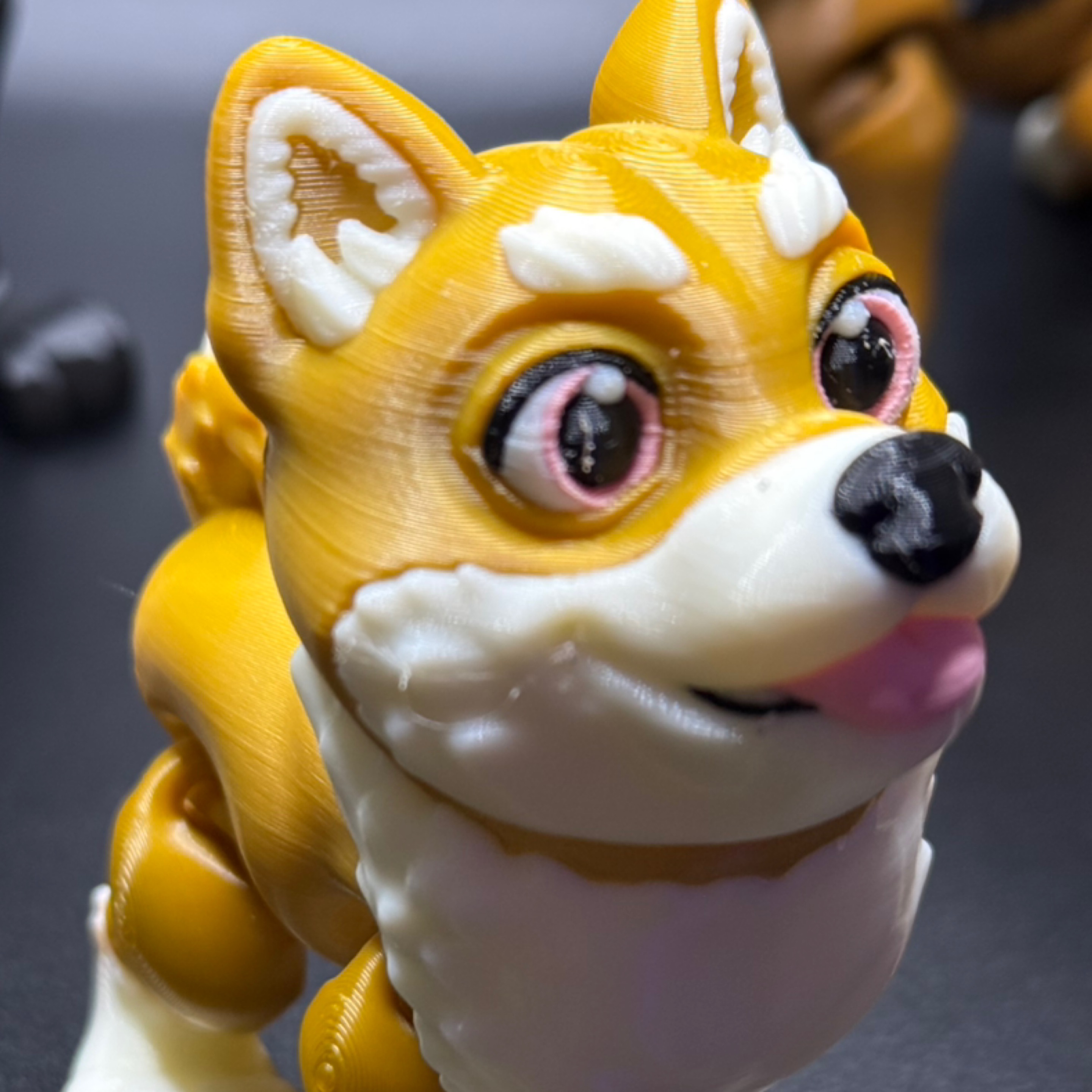 Shiba Inu