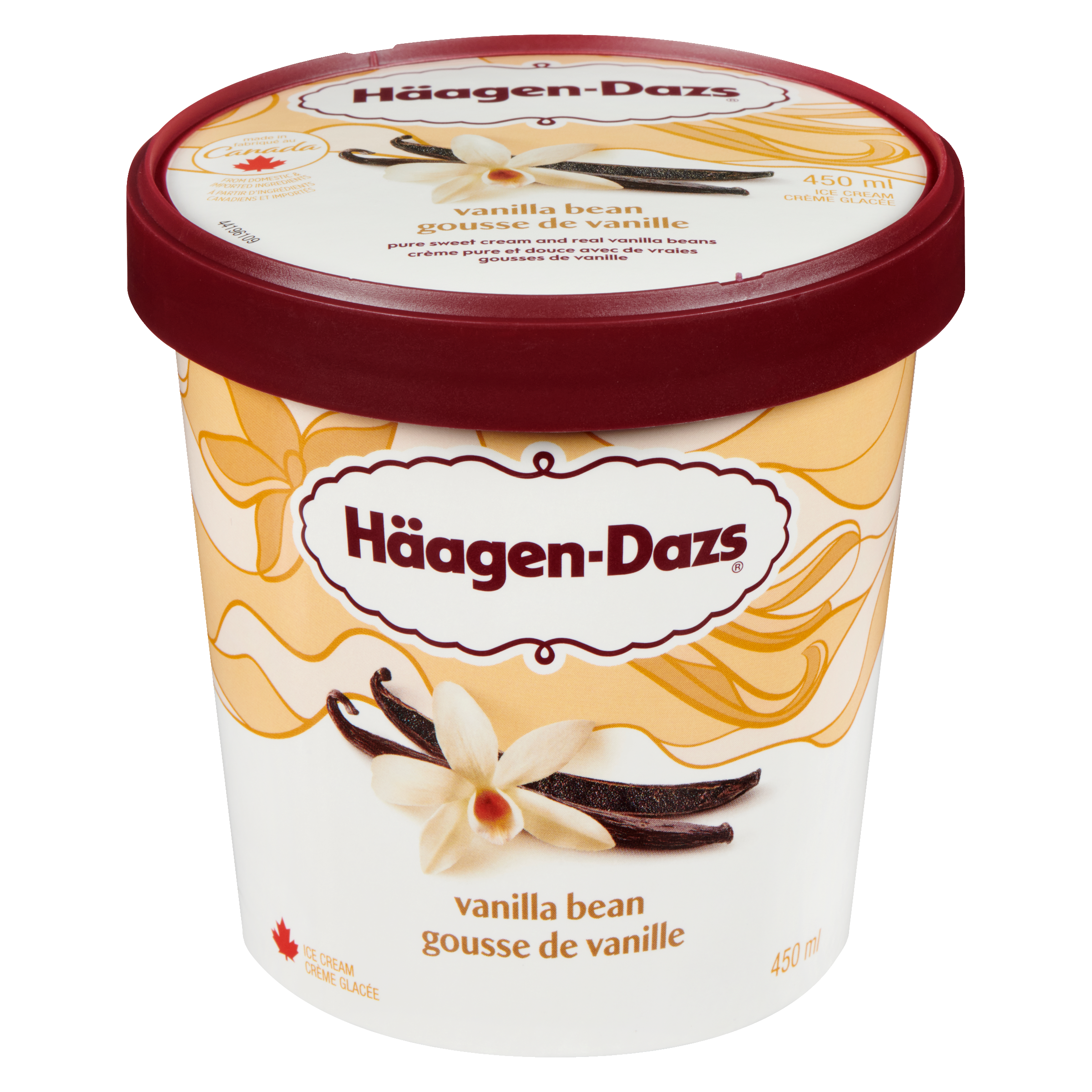 Haagen Dazs Vanilla Bean Ice Cream 450ml