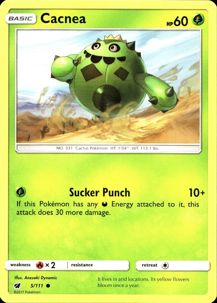 Cacnea - SM4 5/111