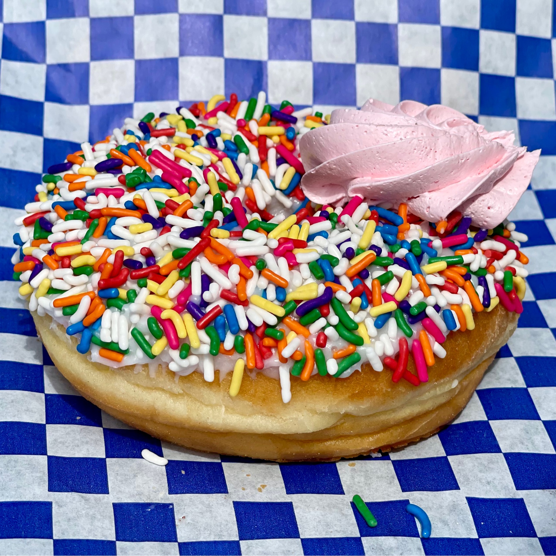 Rainbow Sprinkle Doughnut