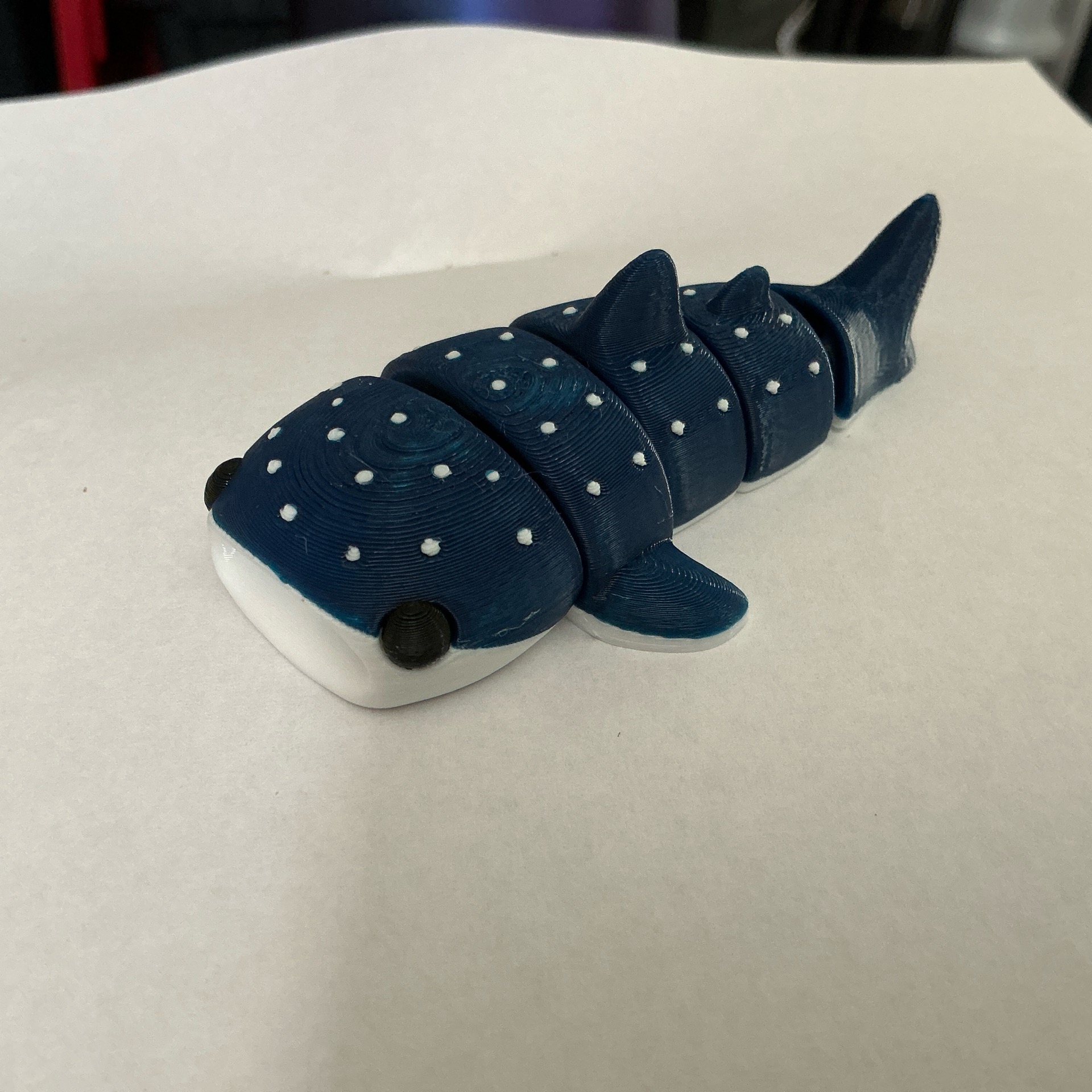Mini Whale Shark