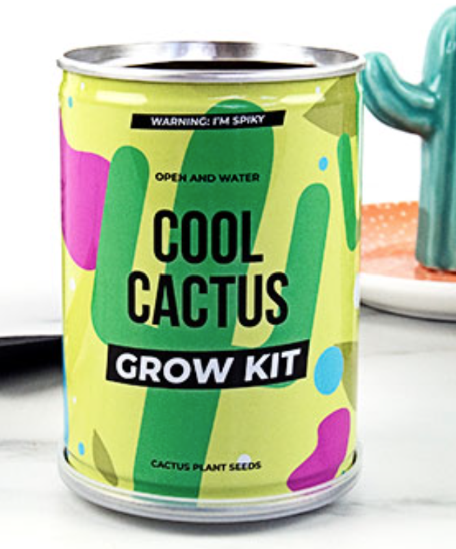 GIFT REPUBLIC Cactus Grow Tin