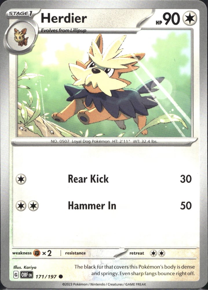 Herdier - SV03 171/197