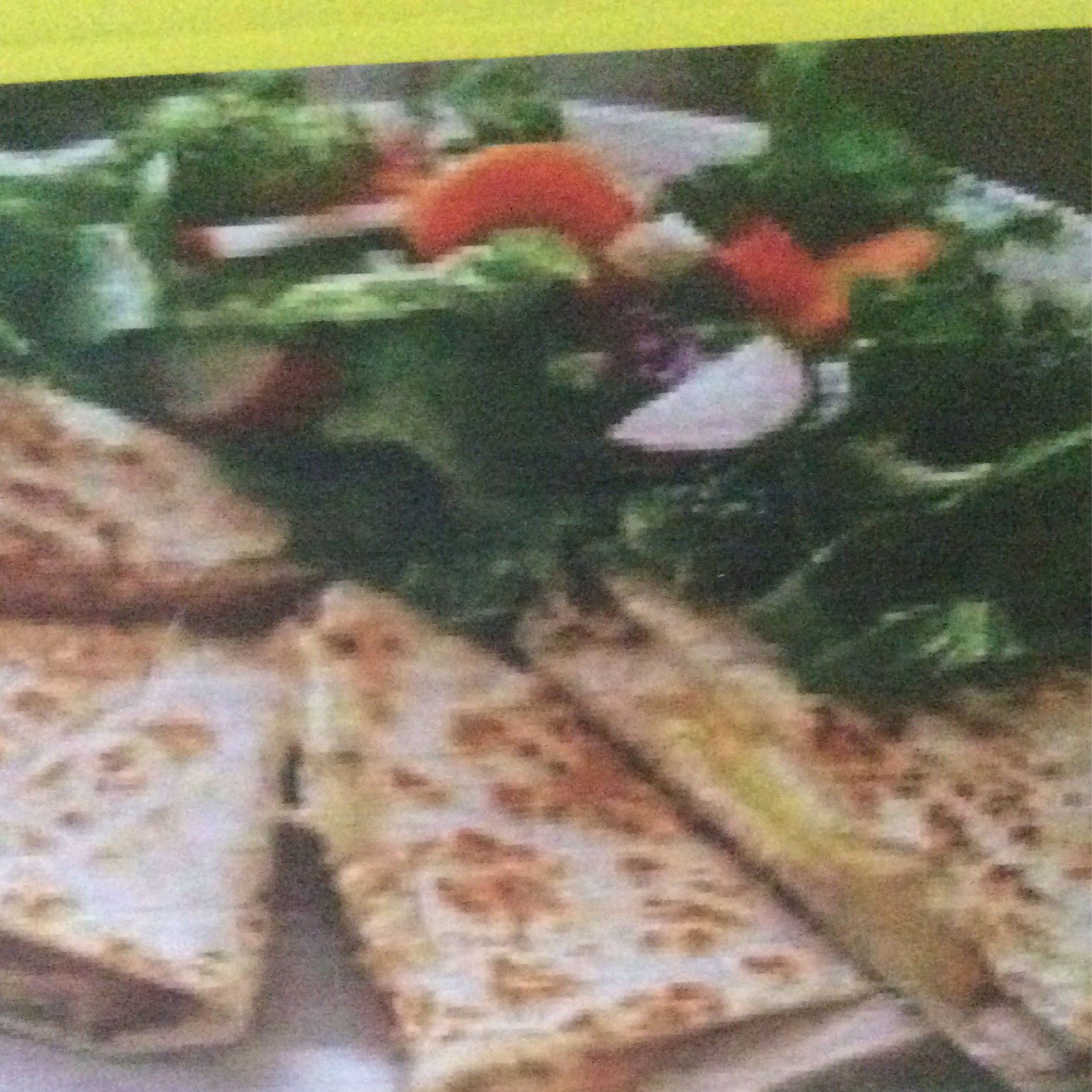 Quesadilla de Pastor - Marinated with Pineapple Quesadilla from Tacos del Valle