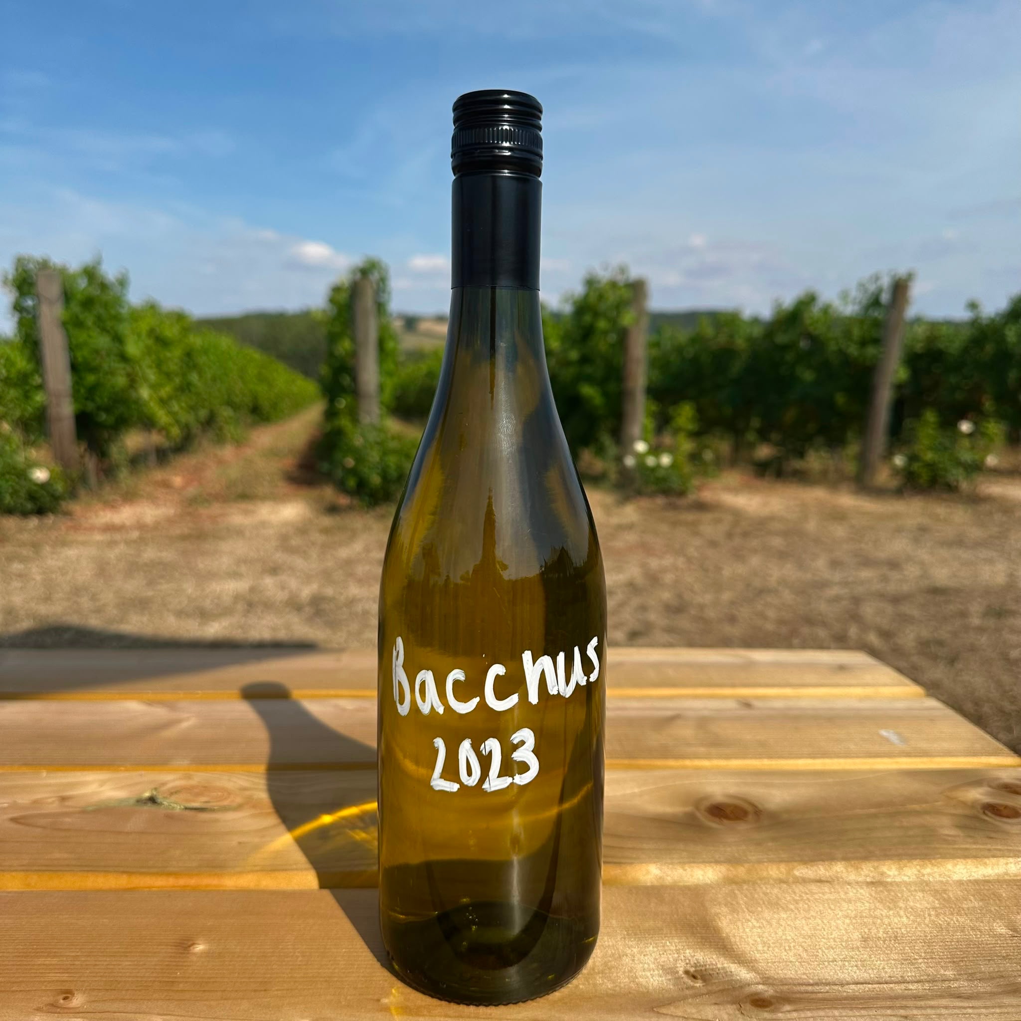 Bacchus