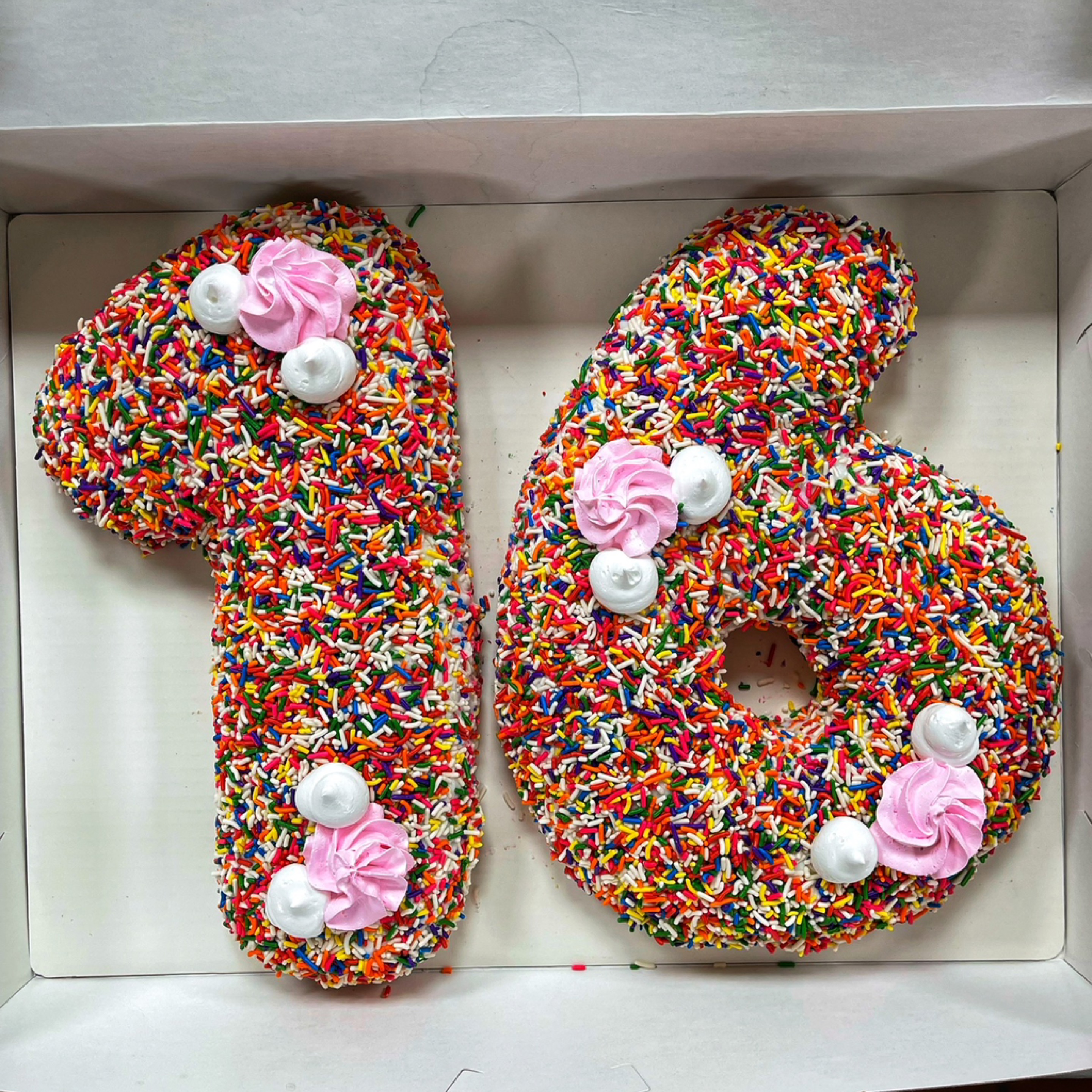 Giant Number Doughnut