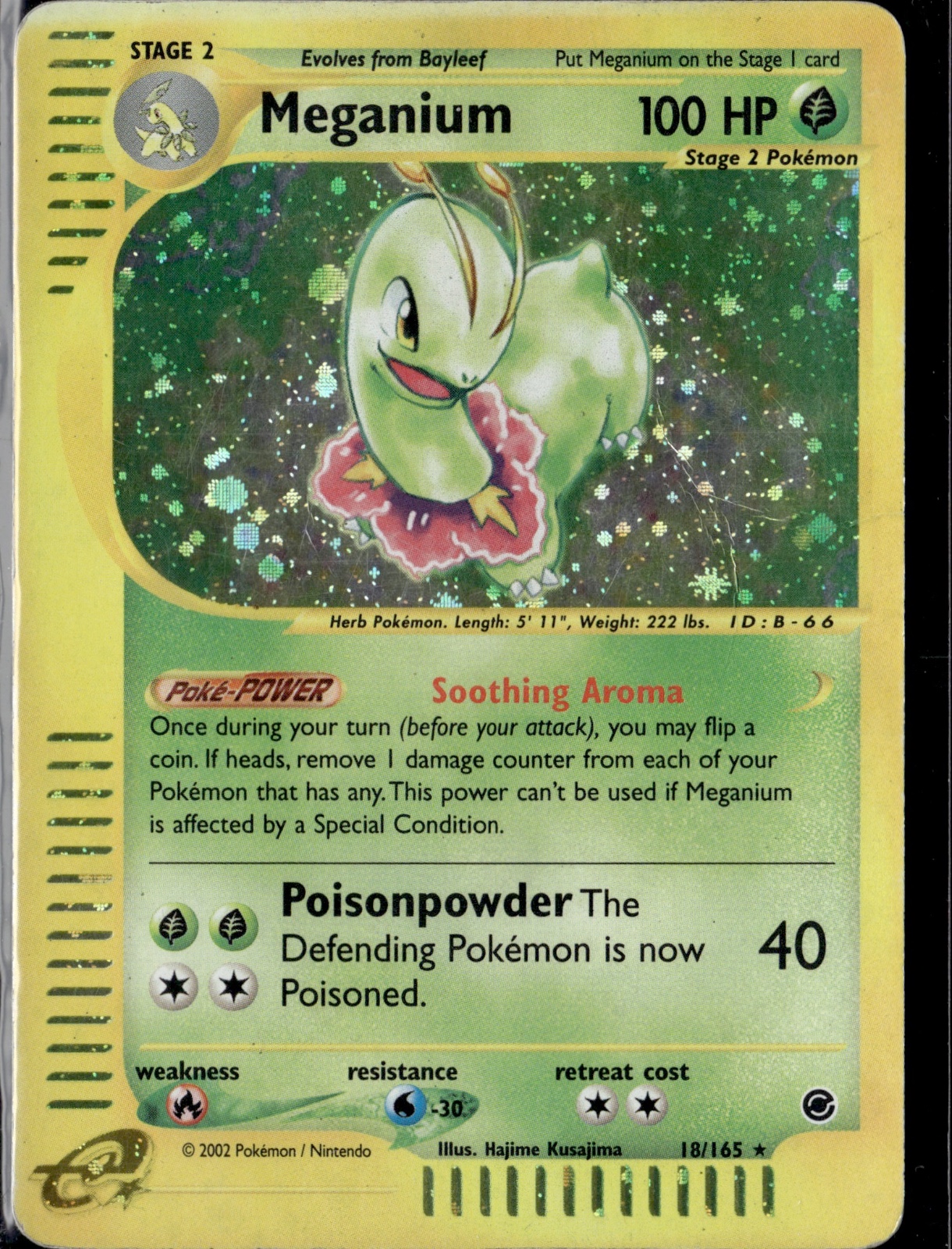 Meganium (18) Holo Rare Expedition 018/165 LP