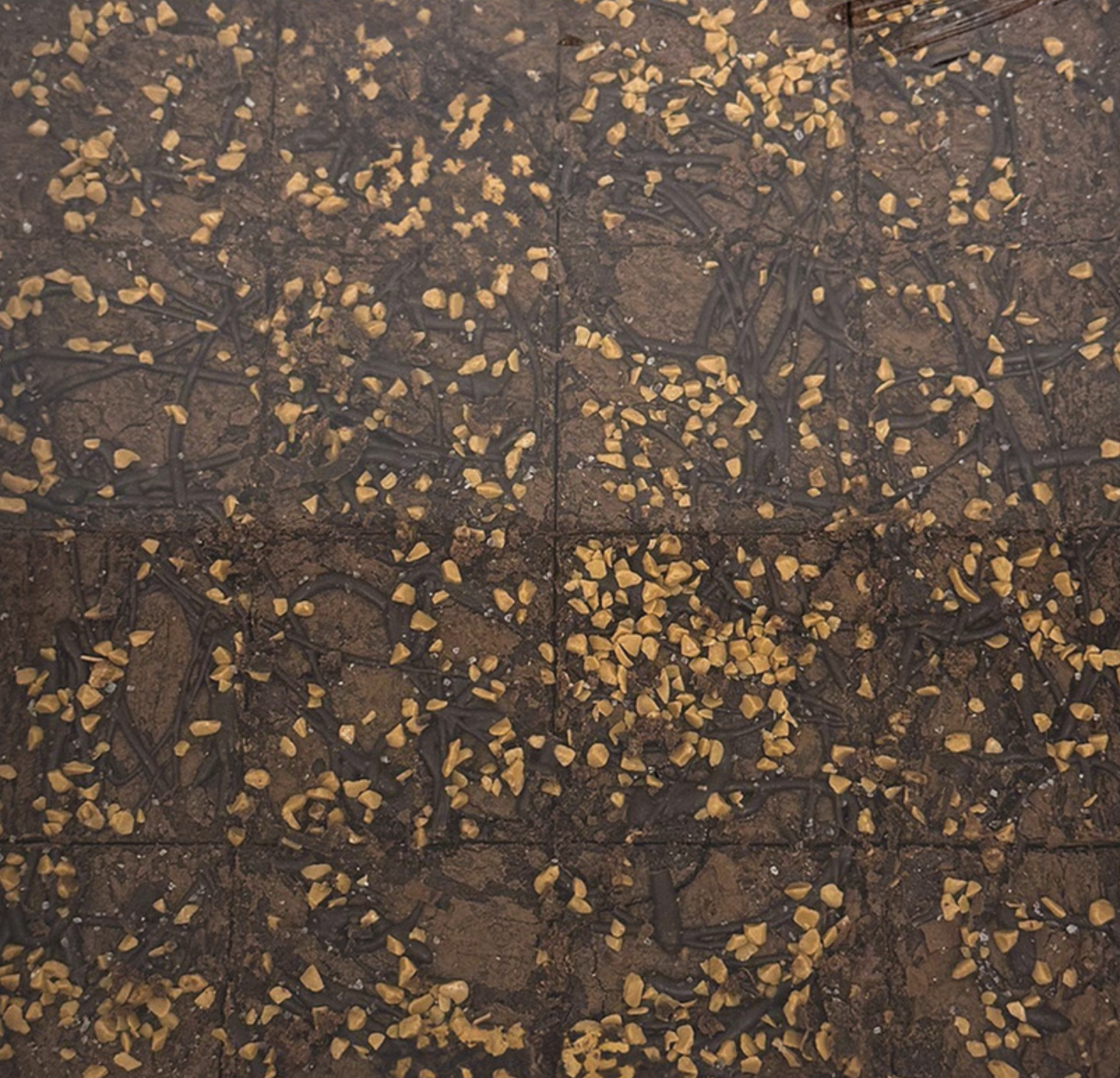 Salted Caramel Brownie Traybake