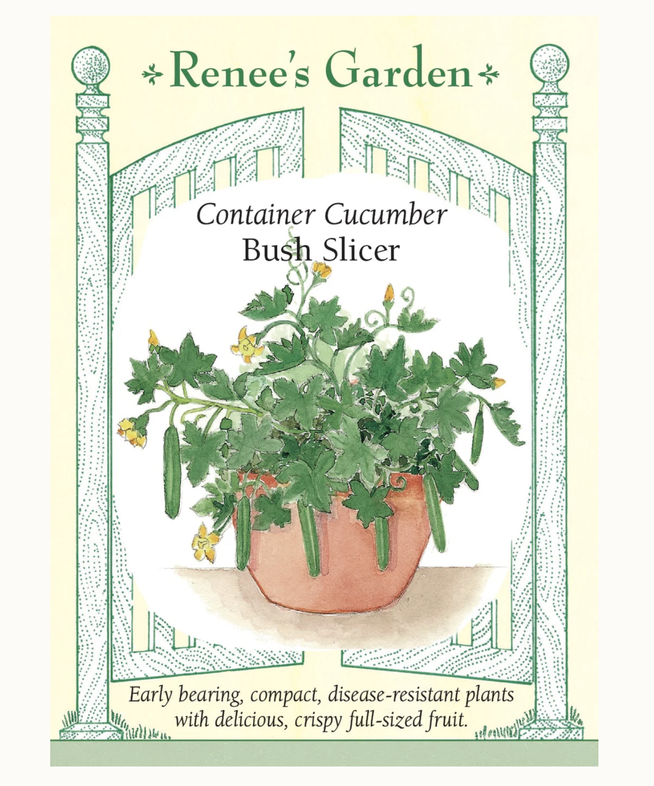 Renee's Garden | Container Cucumber Bush Slicer