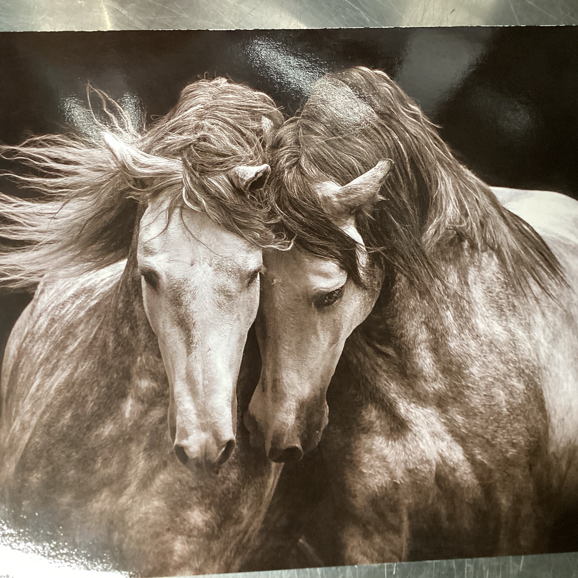 2 Horses -Sepia