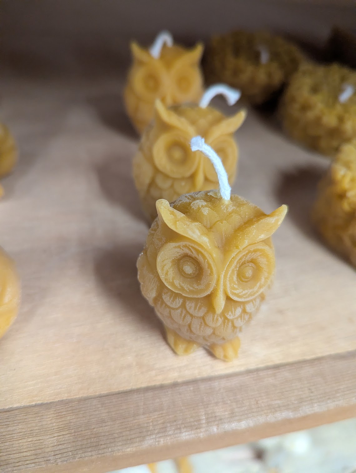 Anarchy Apiaries  |  Honey, Candles, Products - Small Owls 2oz