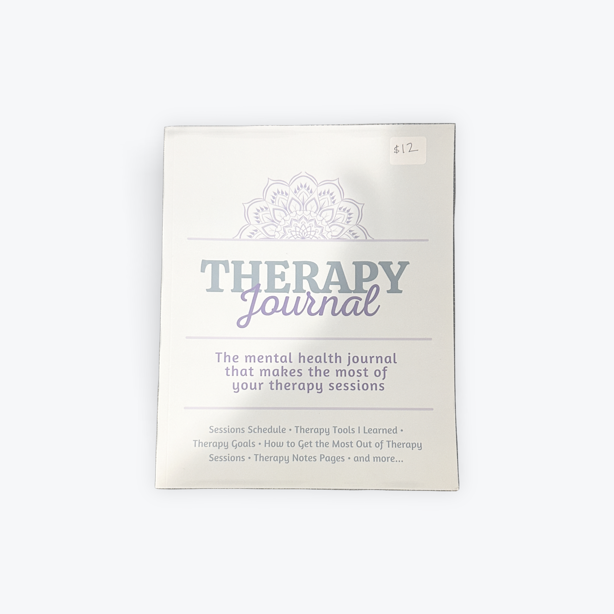 Therapy Journal Notes