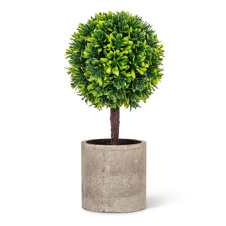 Green Boxwood Topiary in Pot-9.5"H-3016