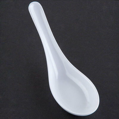 Disposable Soup Bowl & Spoon