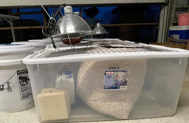 RAC 2:  30 Apr - 27 May 2026