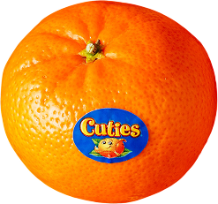 Oranges/Mandarins - Cuties