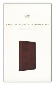 ESV Large Print Value Thinline Bible (TruTone, Mahogany, Border Design) by ESV Bibles