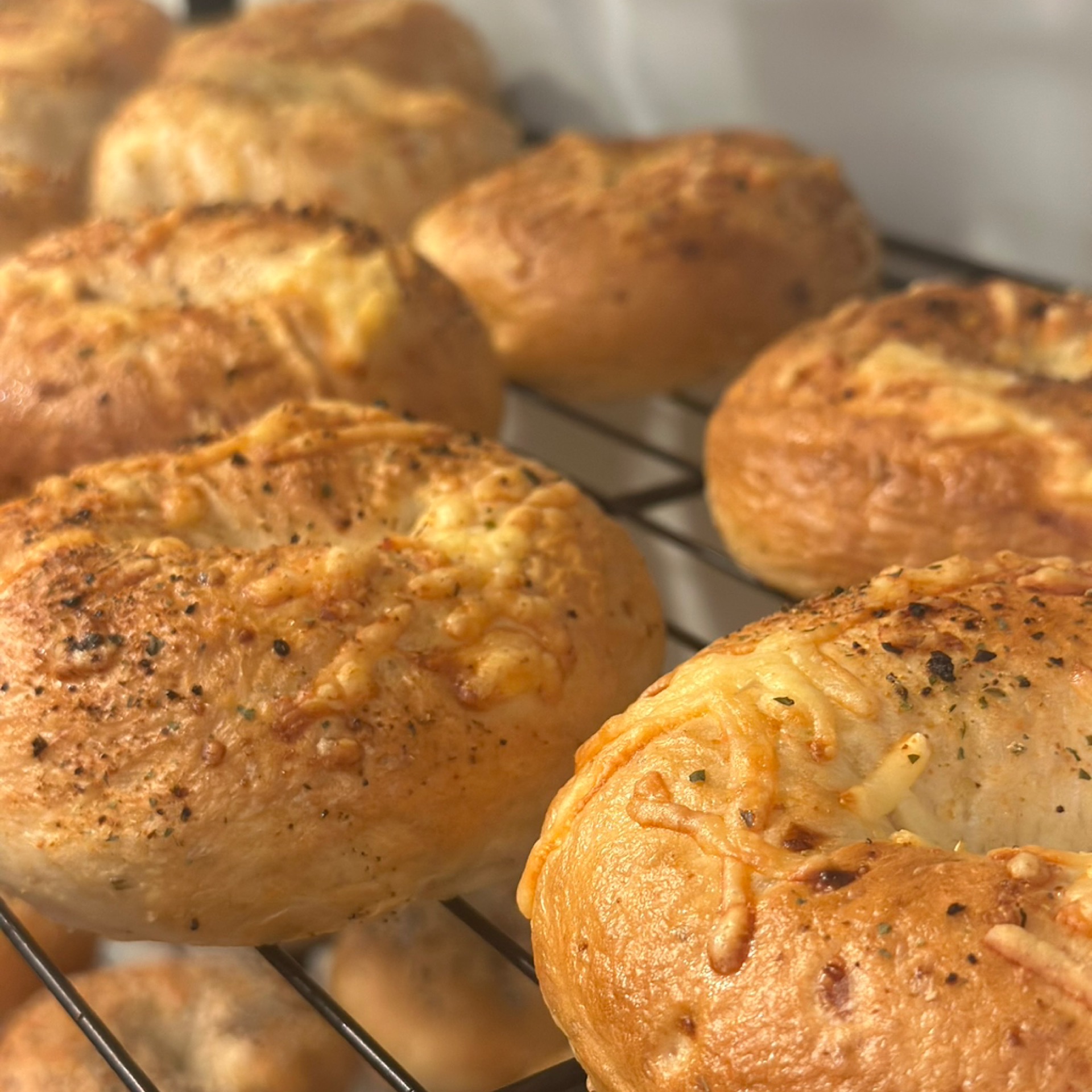 Asiago sourdough Bagels