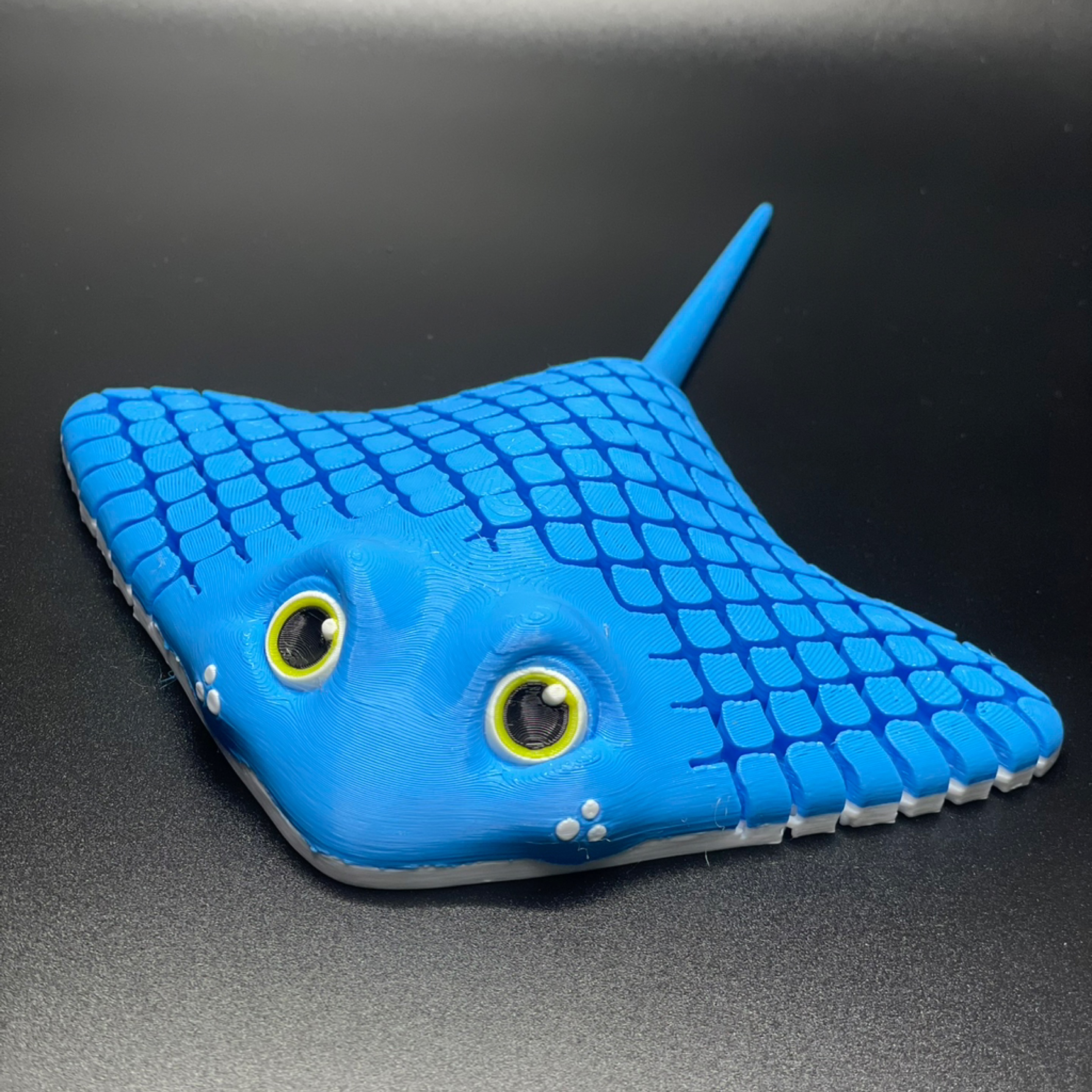 Sting Ray