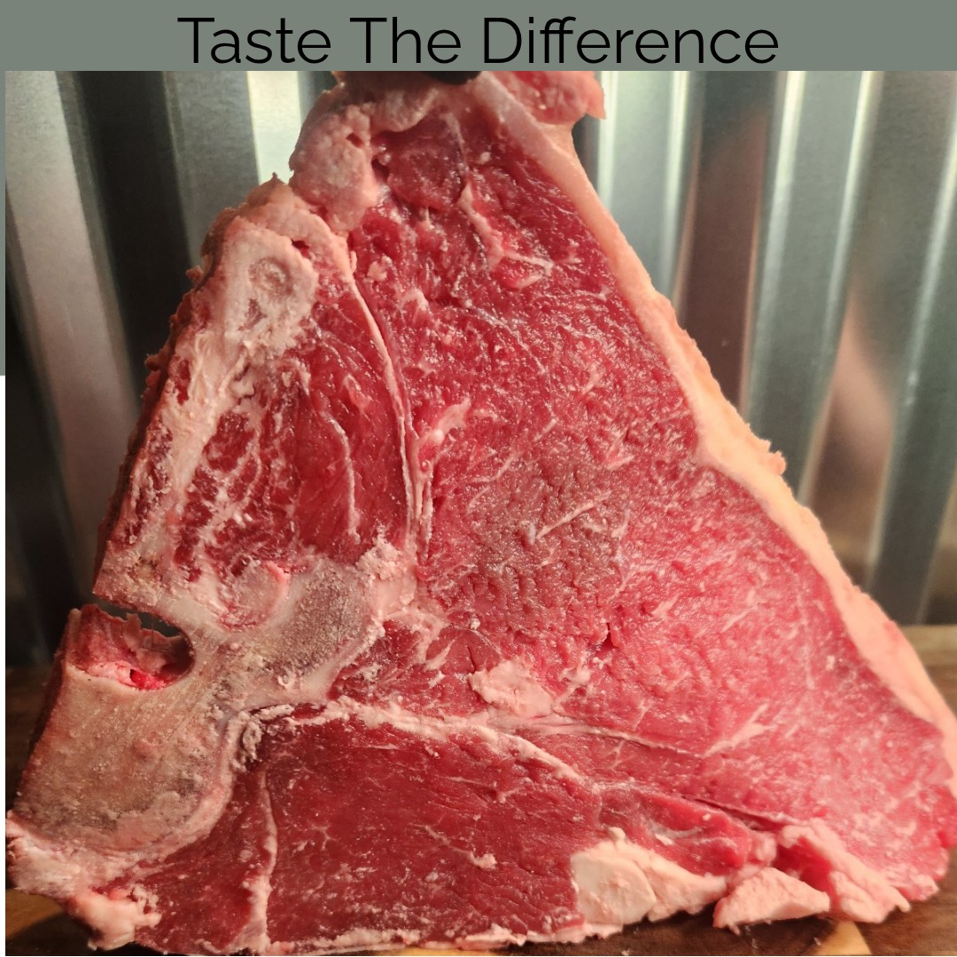 Beef T-bone Steak