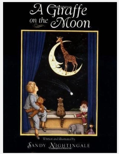A Giraffe on the Moon (Hardcover)/Sandy Nightingale