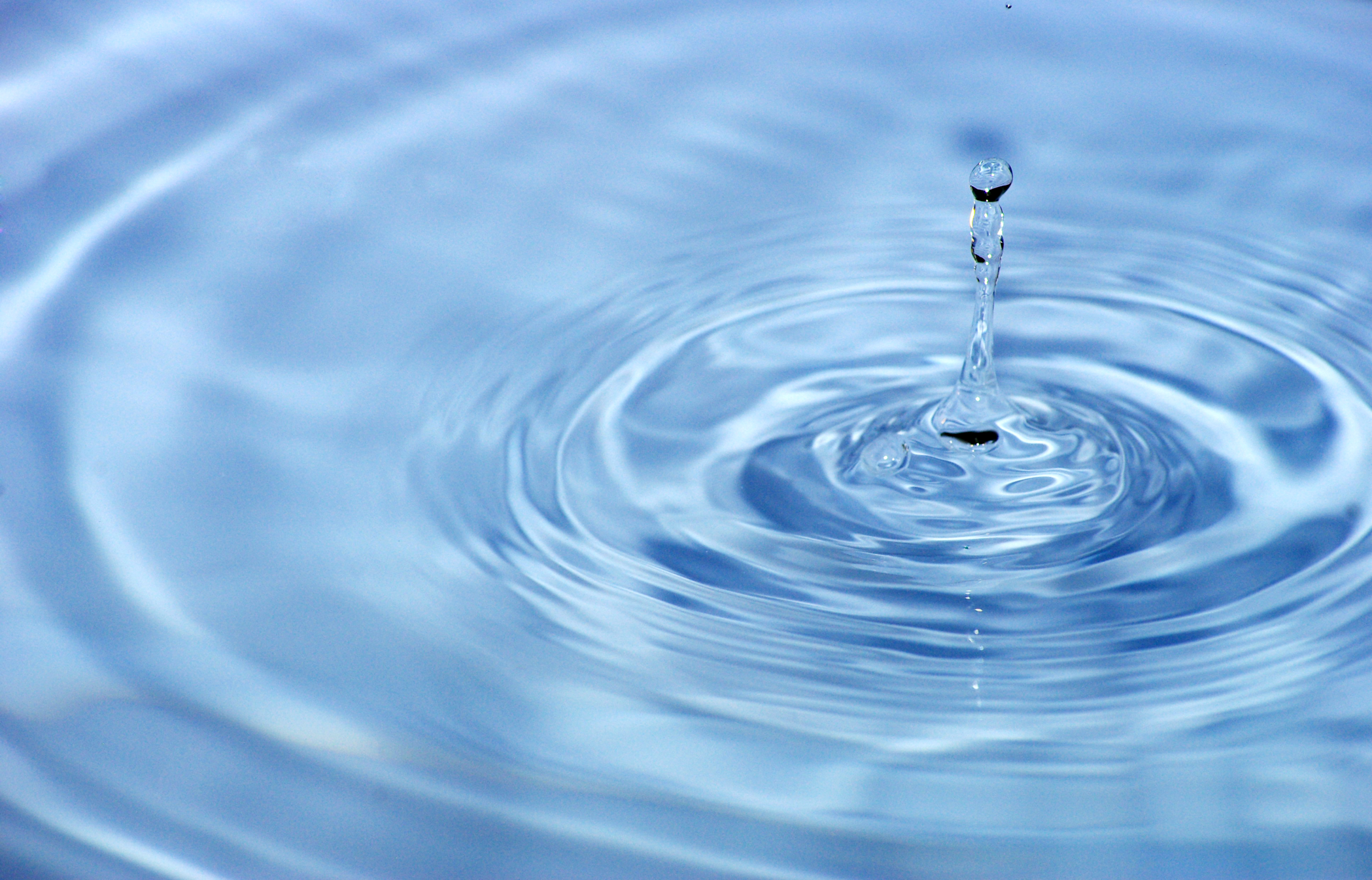 Water Landscape & History Talk with Larry Rich