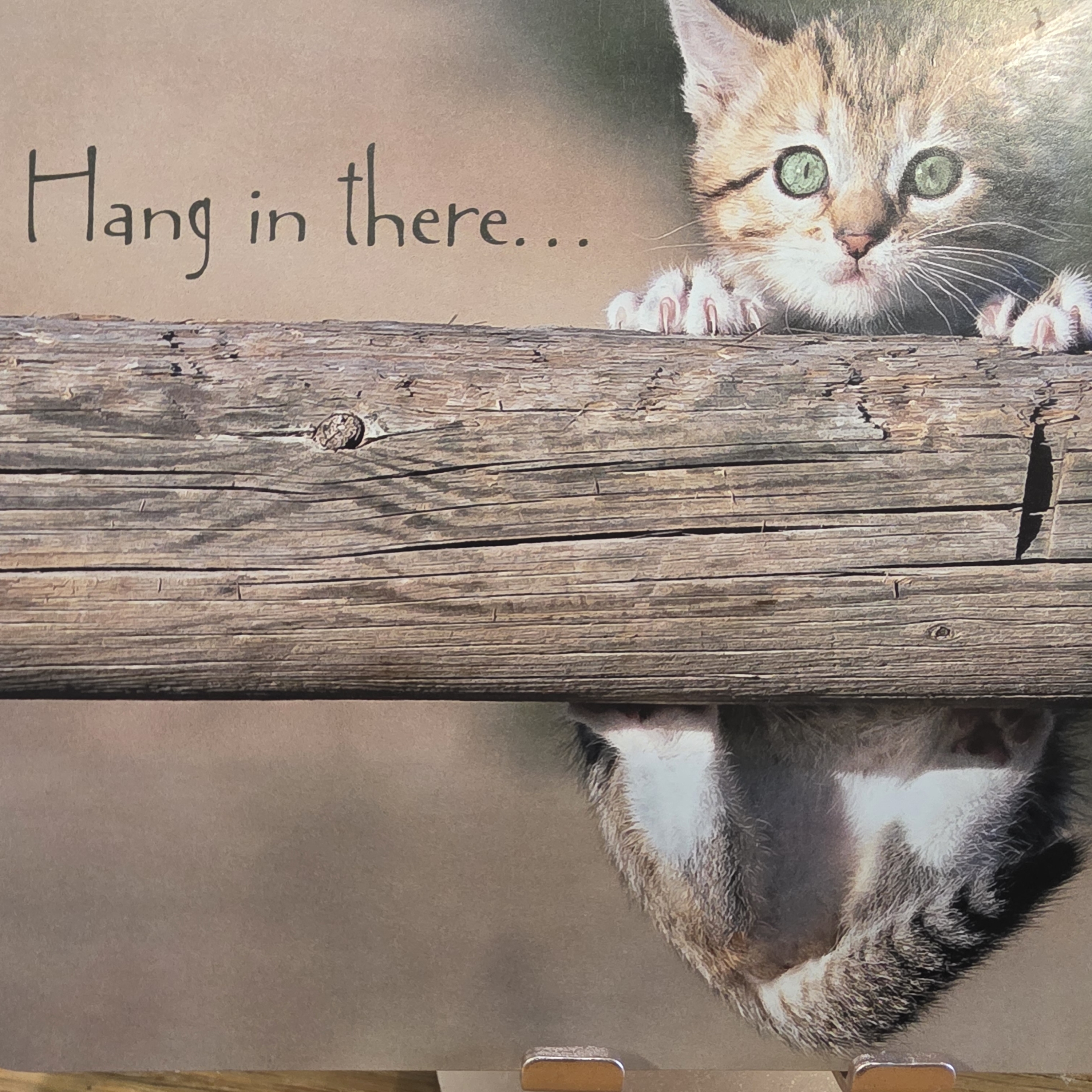 Hang in there