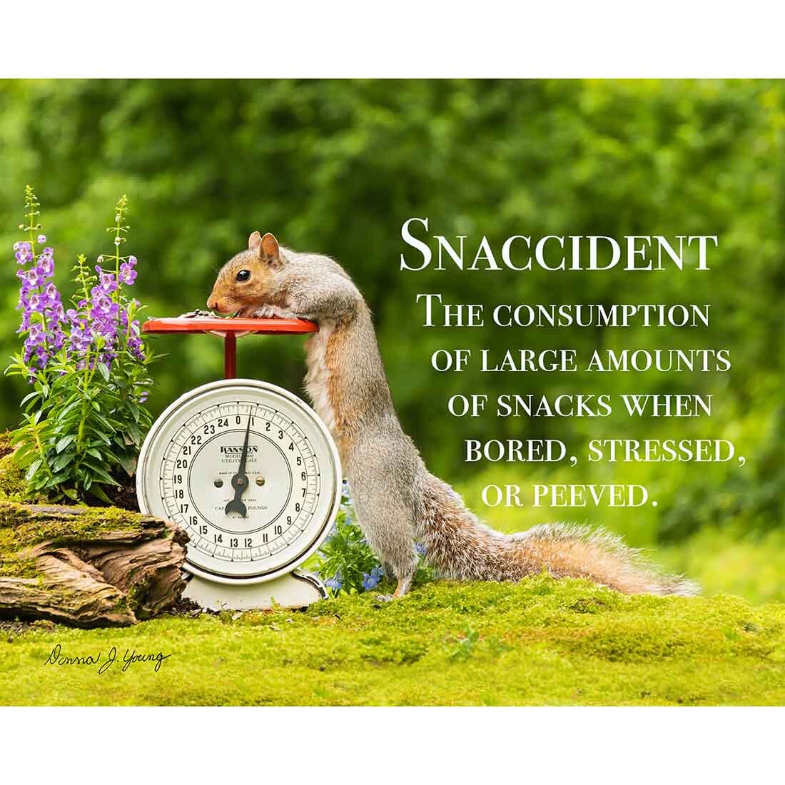 Snaccident