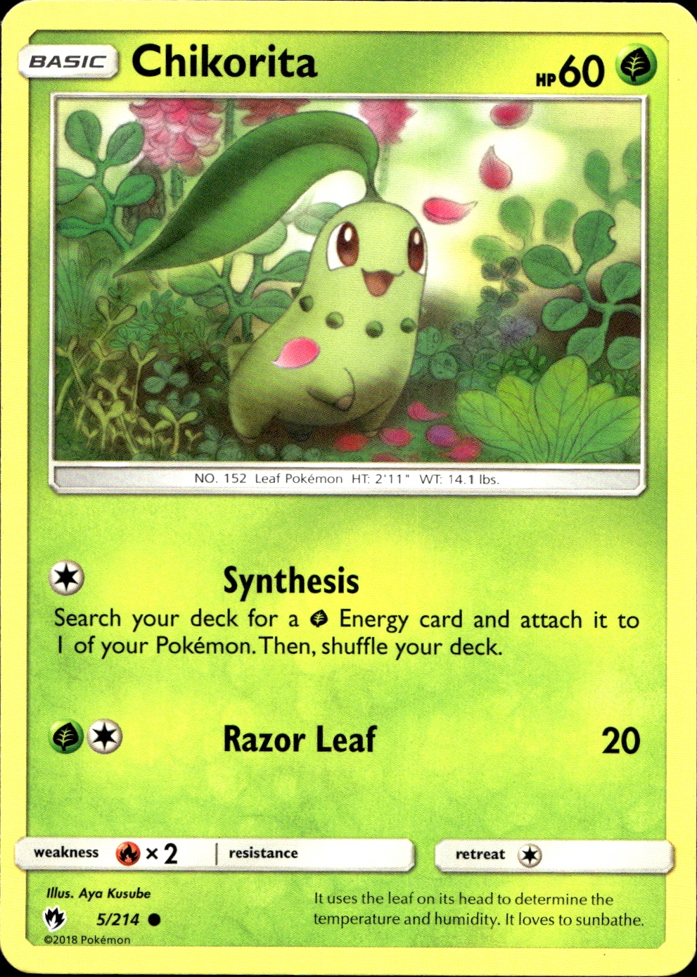Chikorita - SM8 5