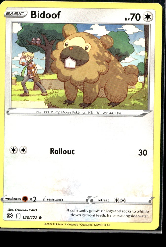 Bidoof - SWSH9 120/172