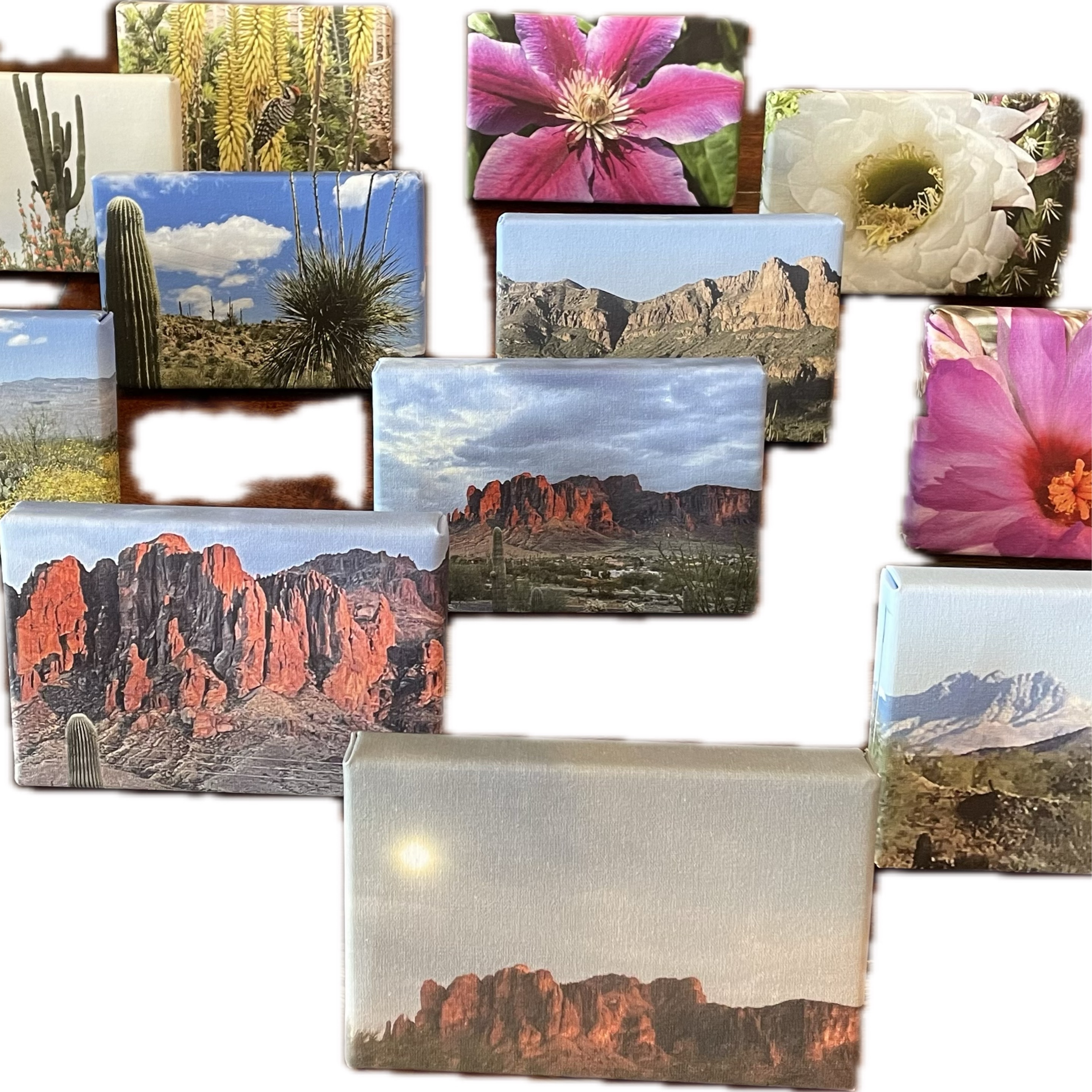 Canvas-close up of Sup Mtns