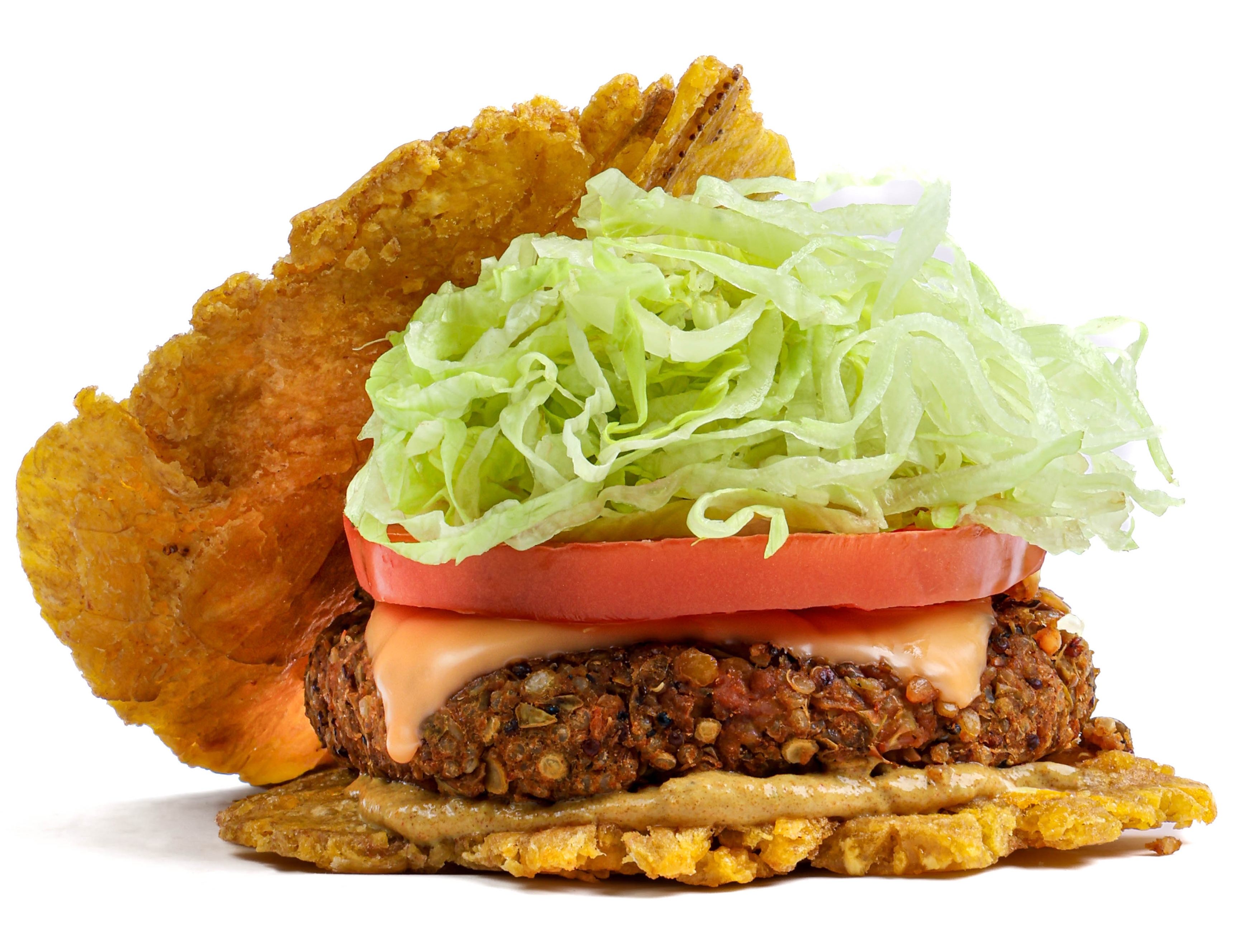 Vegan Tropical Burger (w/Plantain Buns)