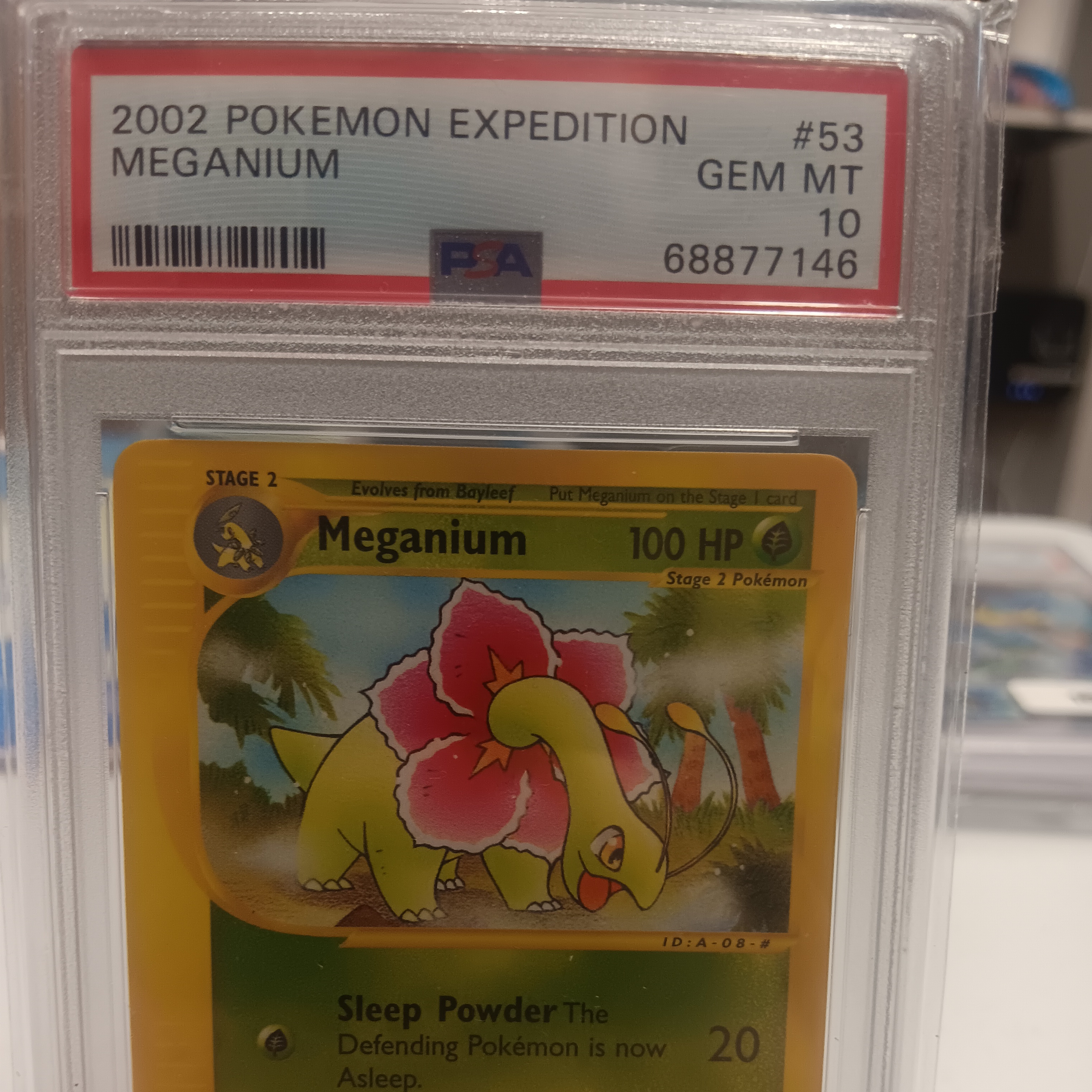 Psa 10 Meganium Non Holo Expedition Graded Card