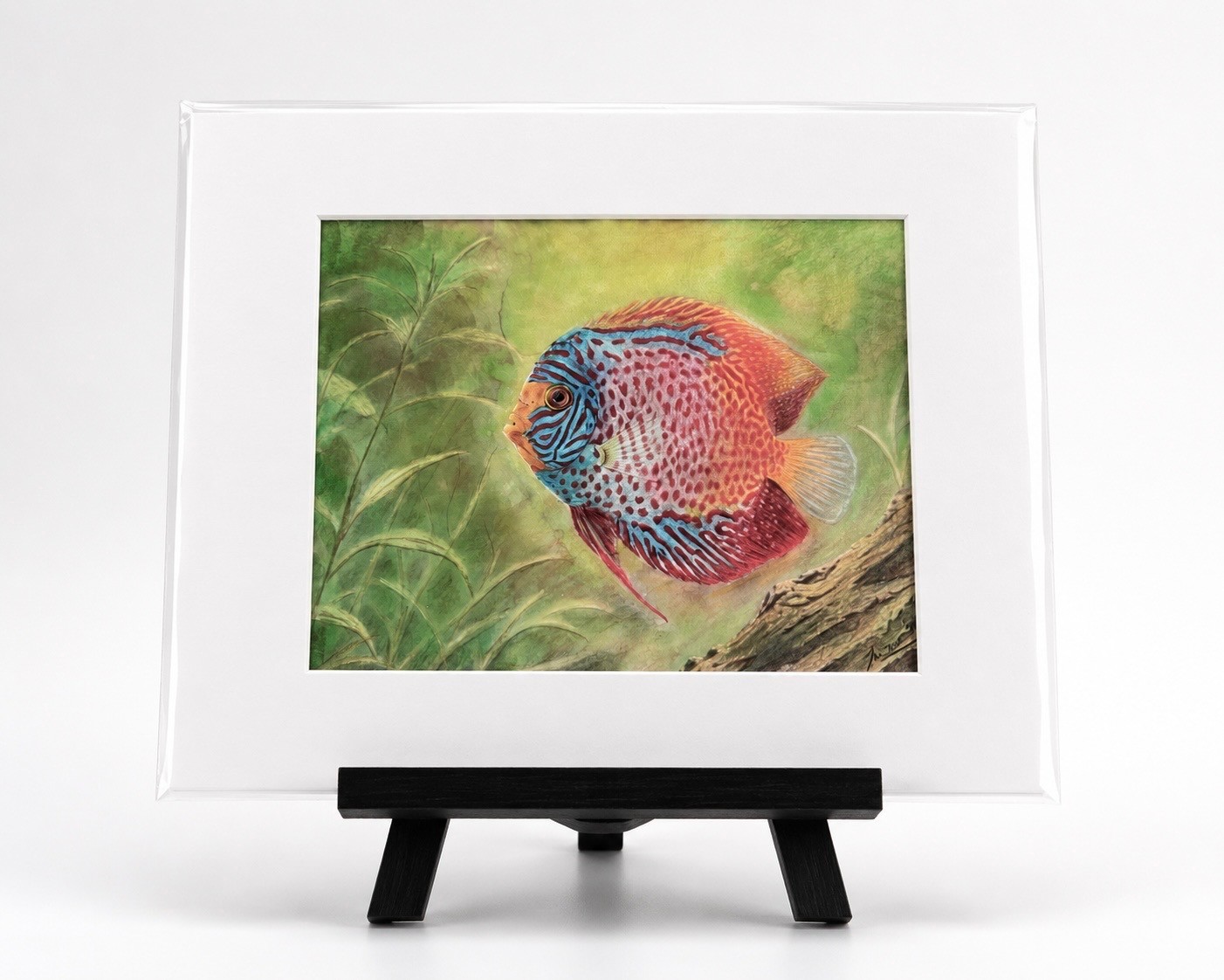 Tina Camacho - Discus, Single - Original Hand Colored Artwork