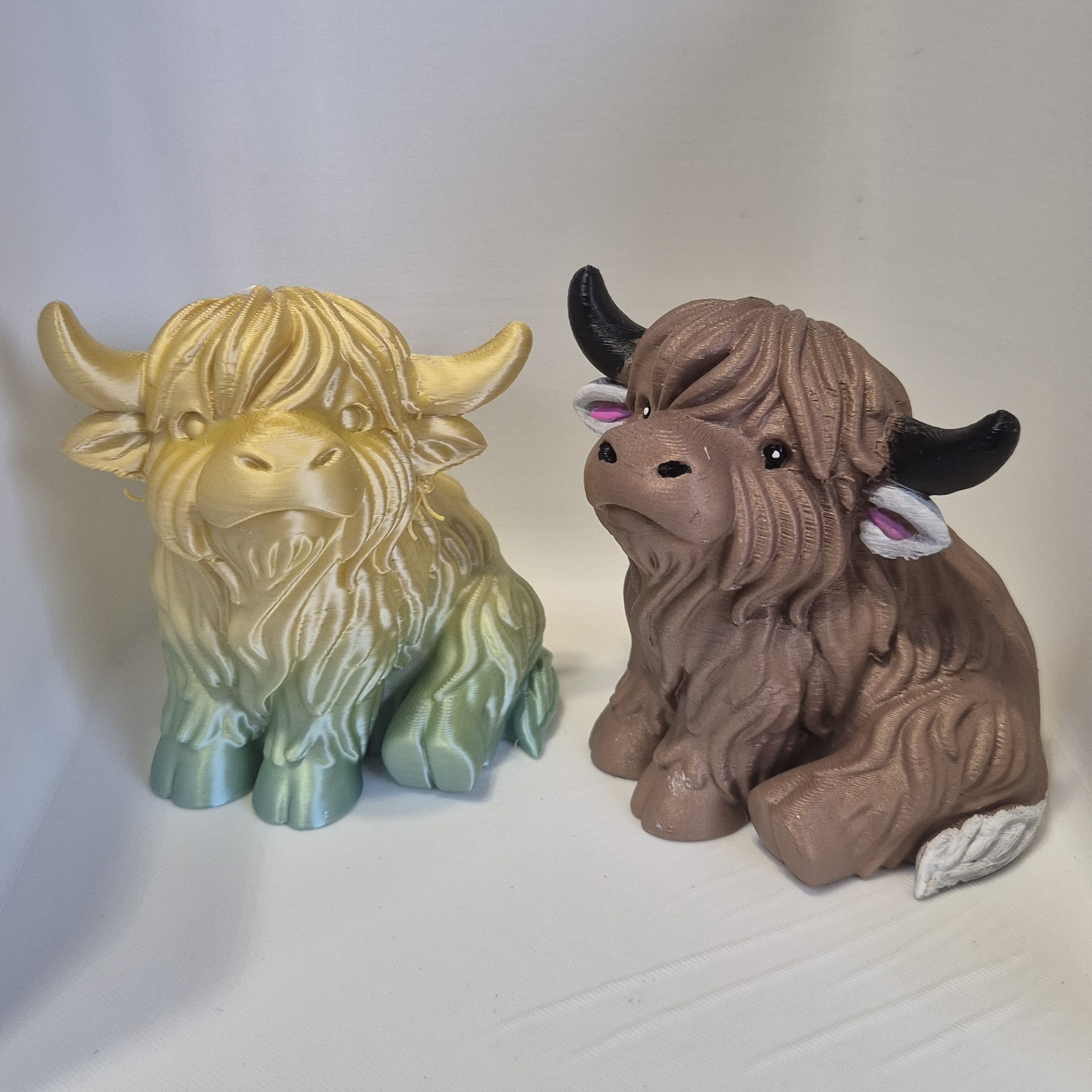 Highland Cow