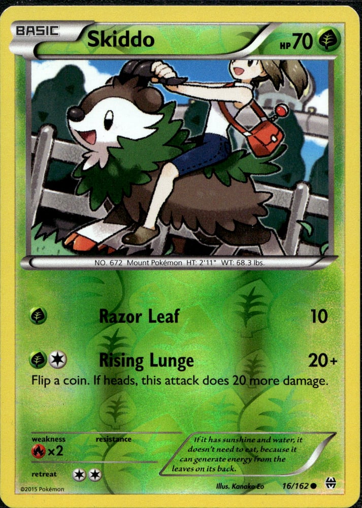 Skiddo - XY8 16