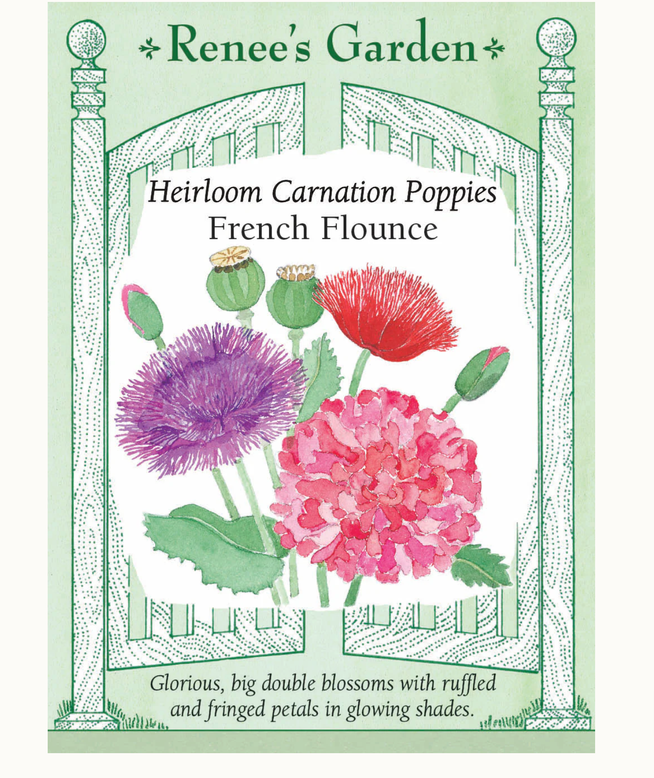 Renee's Garden | Heirloom Carnation Poppies French Flounce