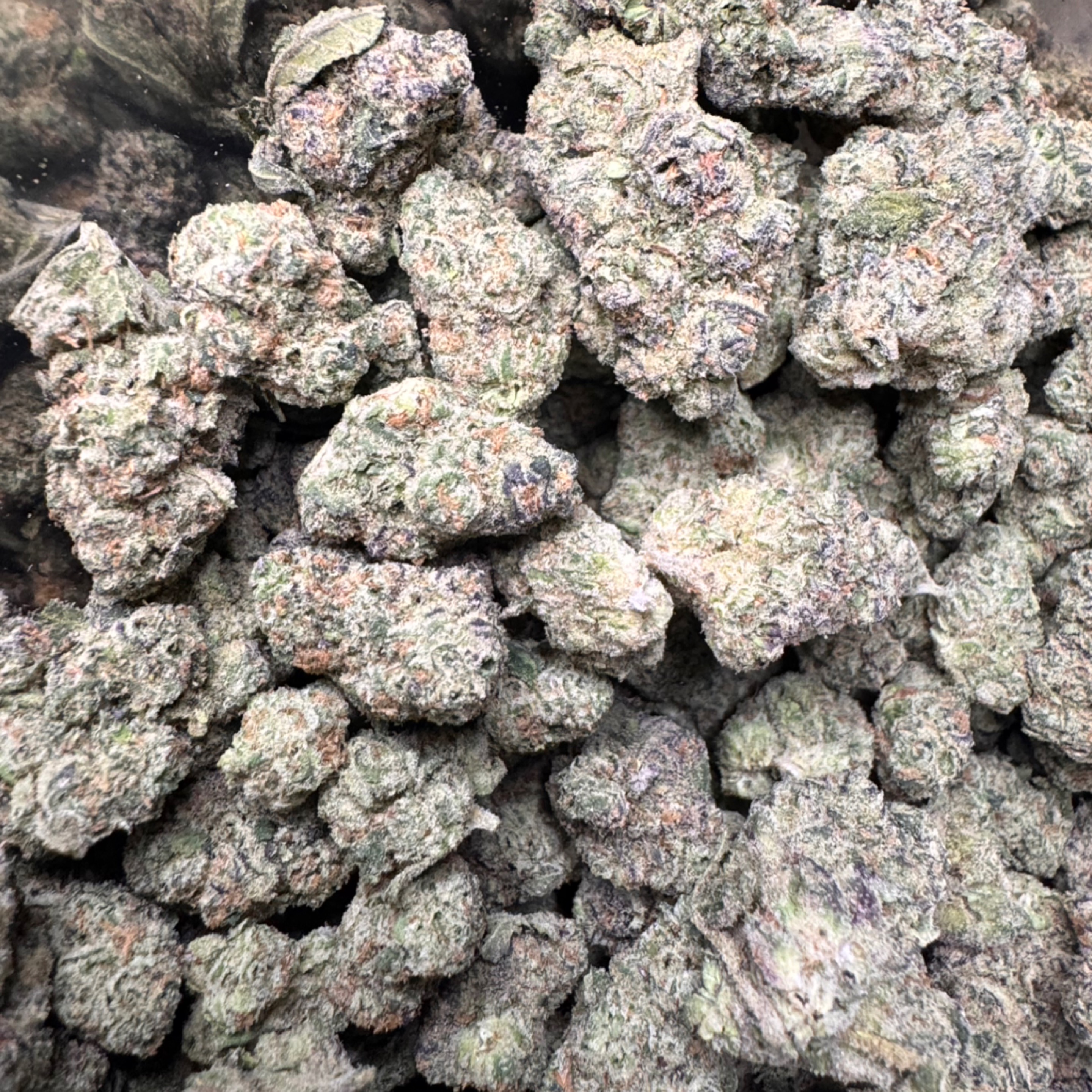 Headband 32.74% THCA - Regular