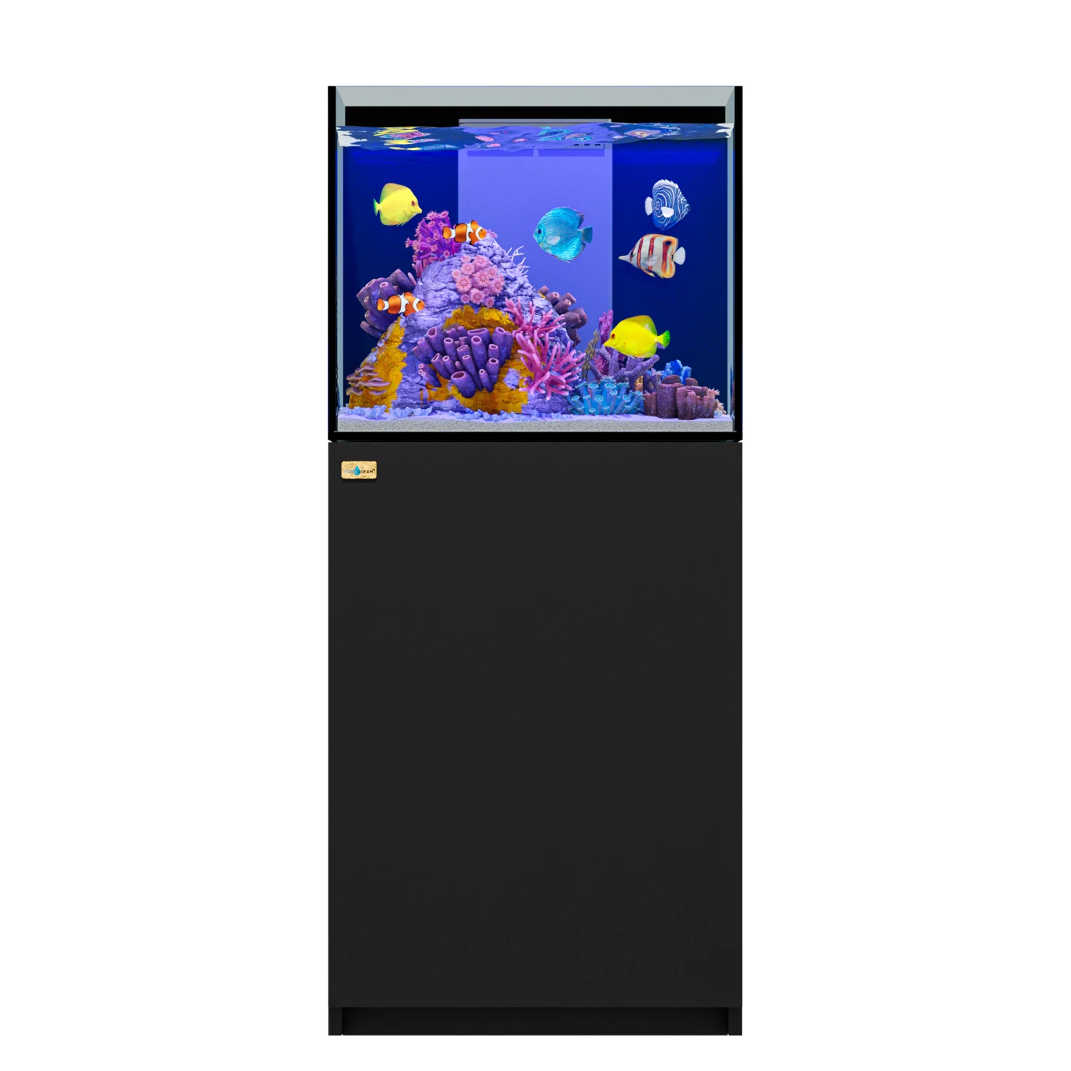 50-Gallon Coral Reef Aquarium: Ultra Clear Glass Tank with Sump